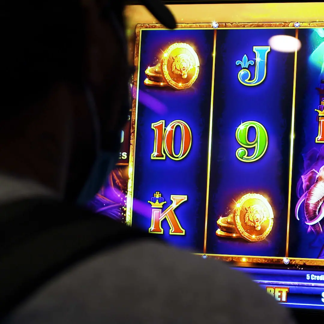 Millions misspent through mistakes, lack of guidance: pokie trust