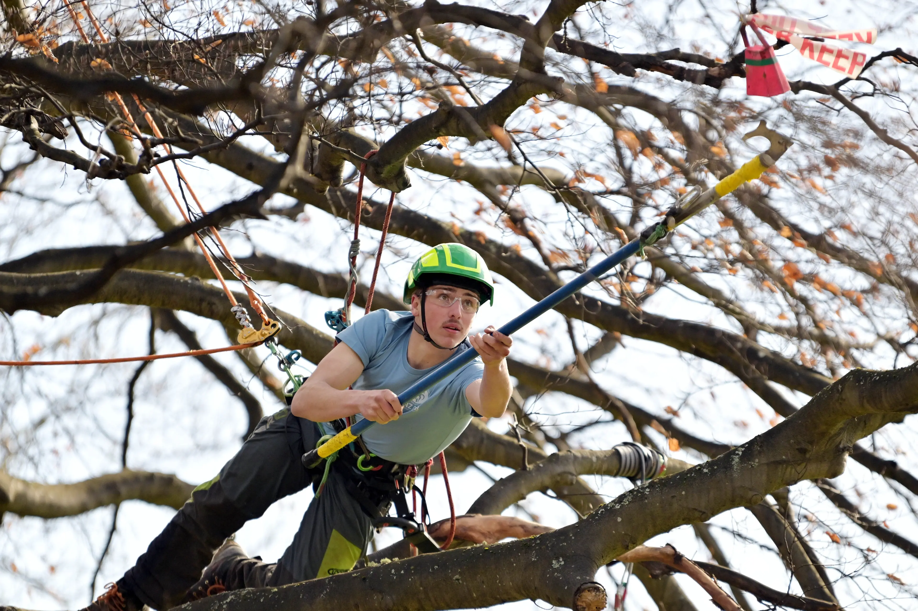 Seda Buddingh, of Dunedin, goes out on a limb during the South Island tree-climbing competition at the Dunedin Botanic Garden. Photo: Gerard O\\'Brien