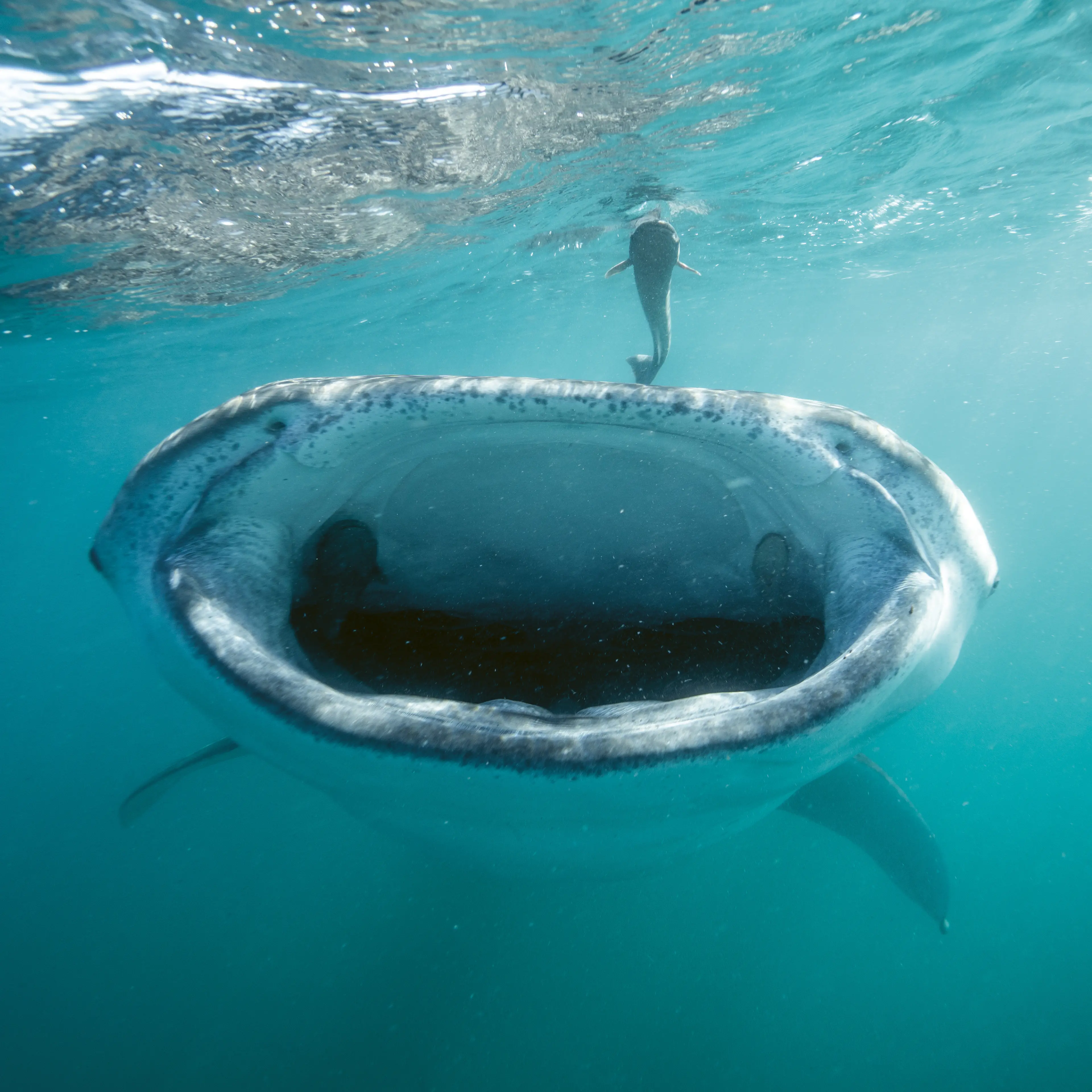 Responsible, concious approach to Mexican travel celebrates its nature and culture