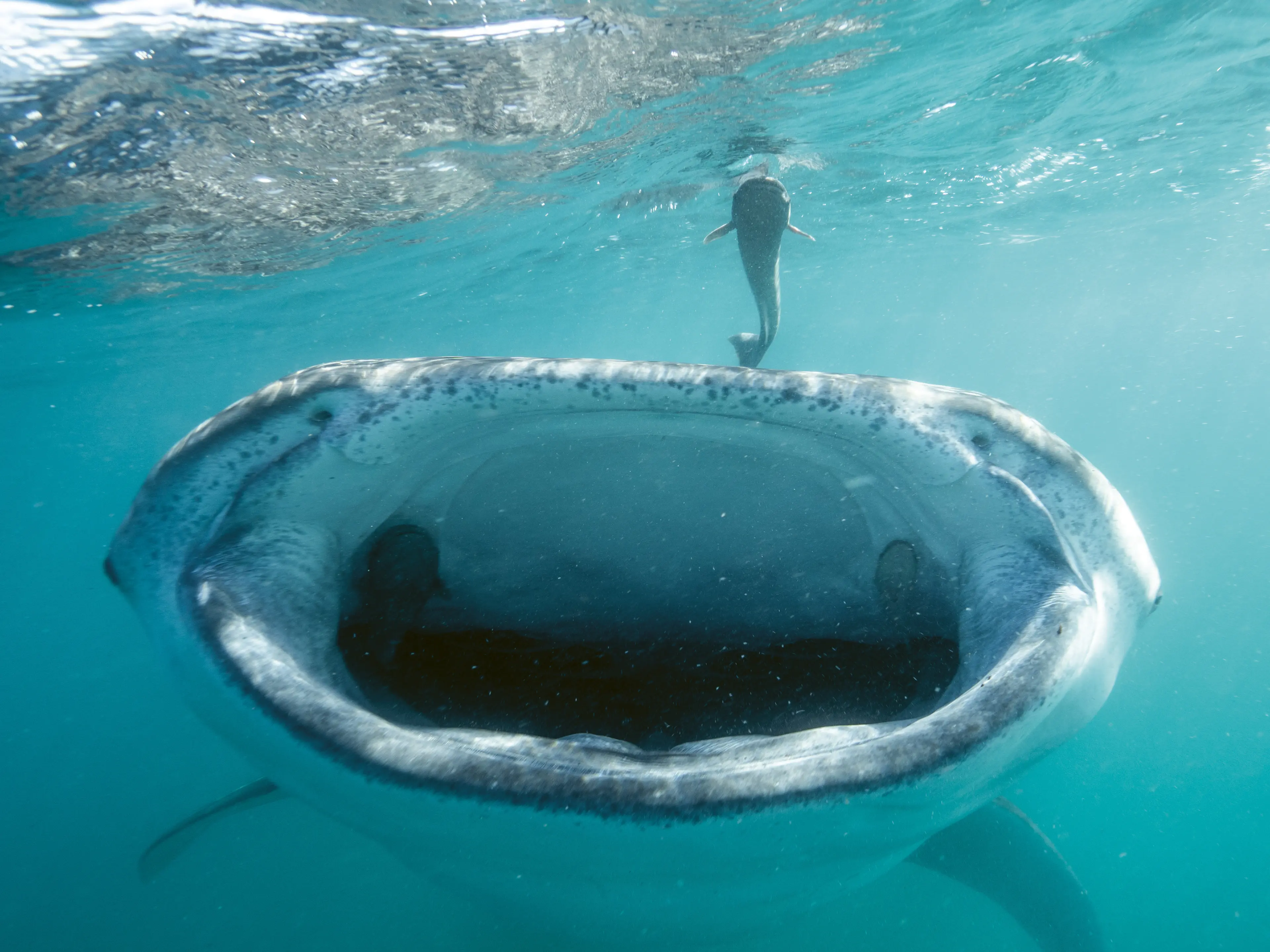 Responsible, concious approach to Mexican travel celebrates its nature and culture
