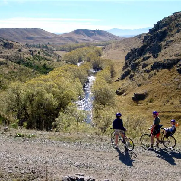 More riders, spending as cycle network expands