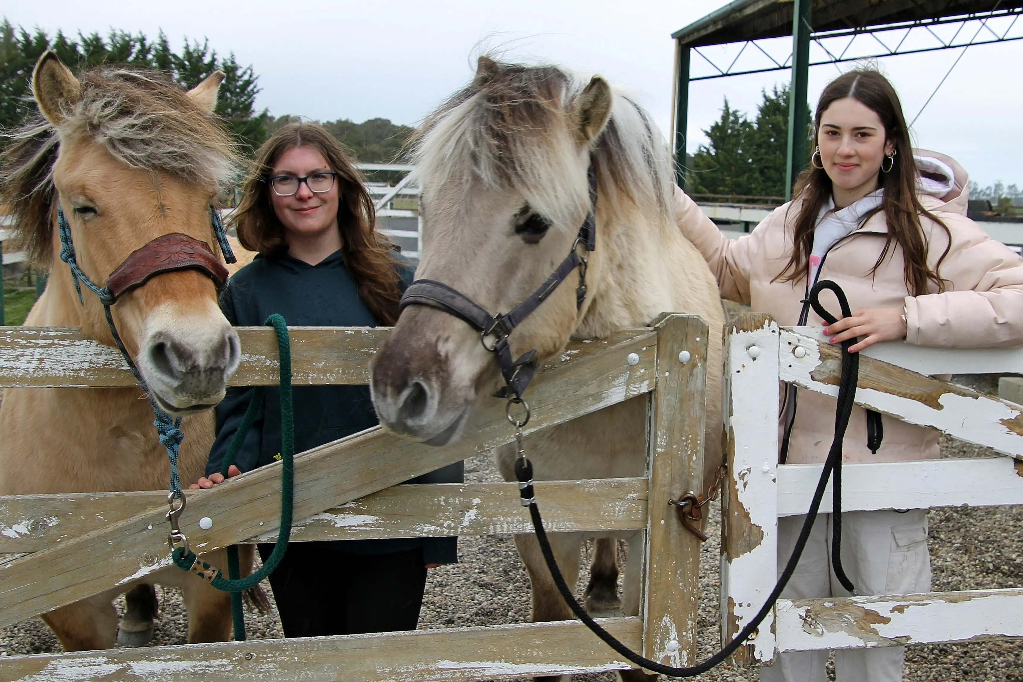 Amber Malay-Cooper (left) and Millie Bond, 17, helped visiting students meet Telford\\u2019s equine staff. Photo: Nick Brook