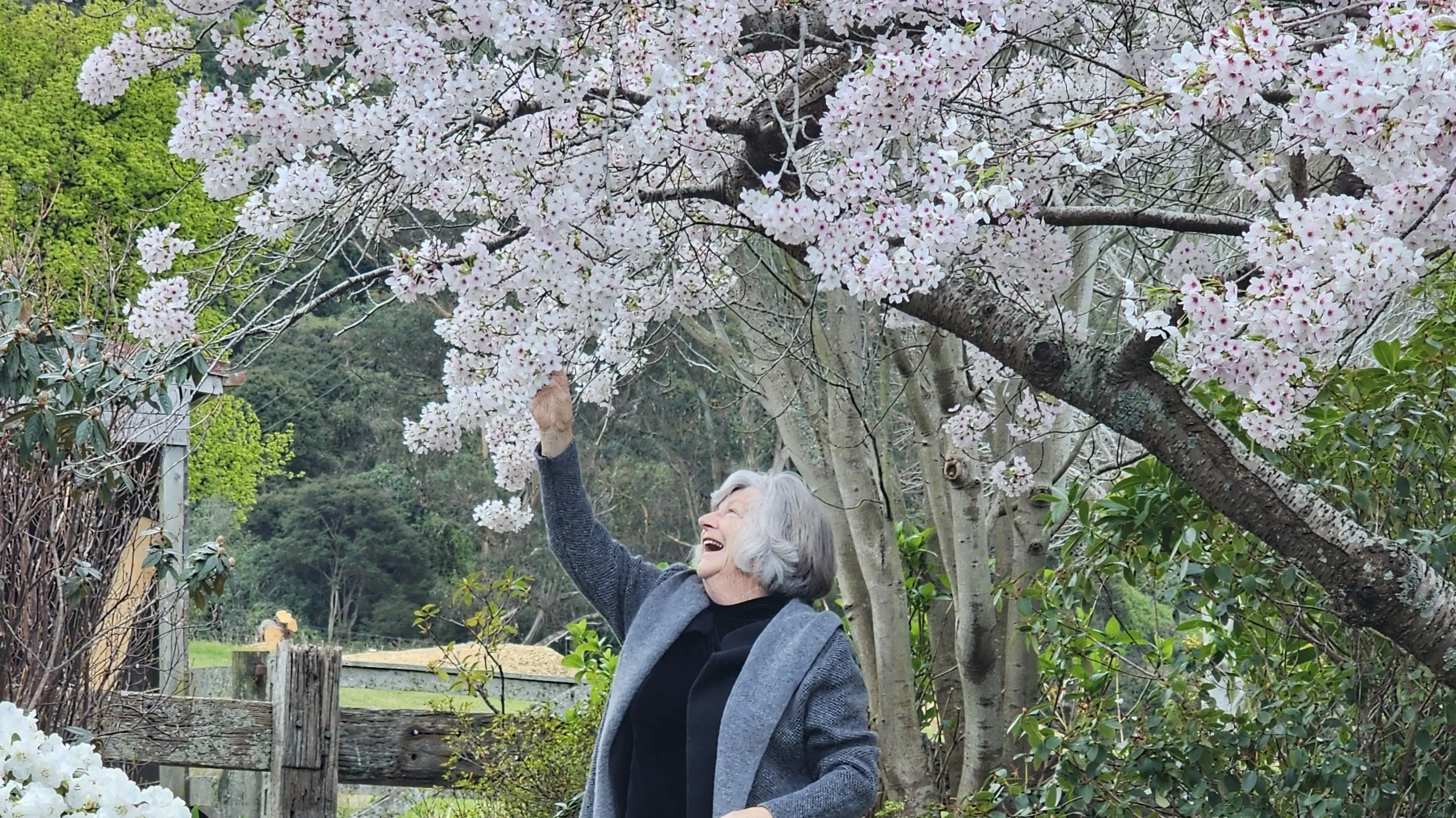 Get out and about this Spring