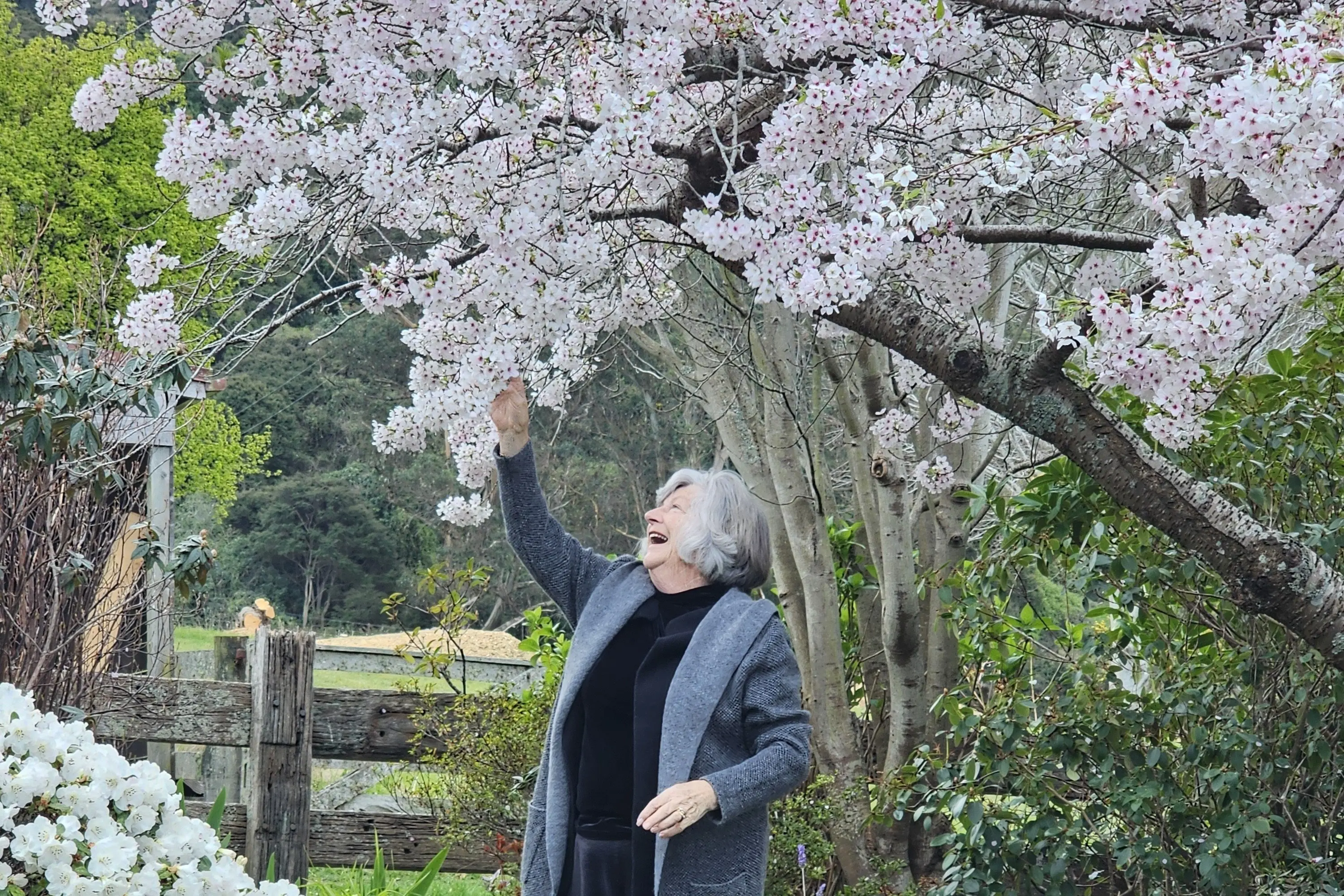 Get out and enjoy the springtime, with support from Let the Good Times Roll. Photo: Supplied
