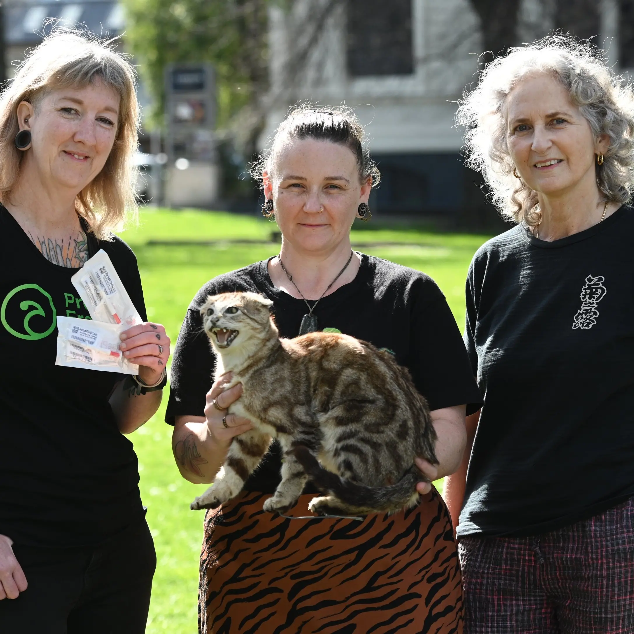 Calls for council action over Dunedin cats