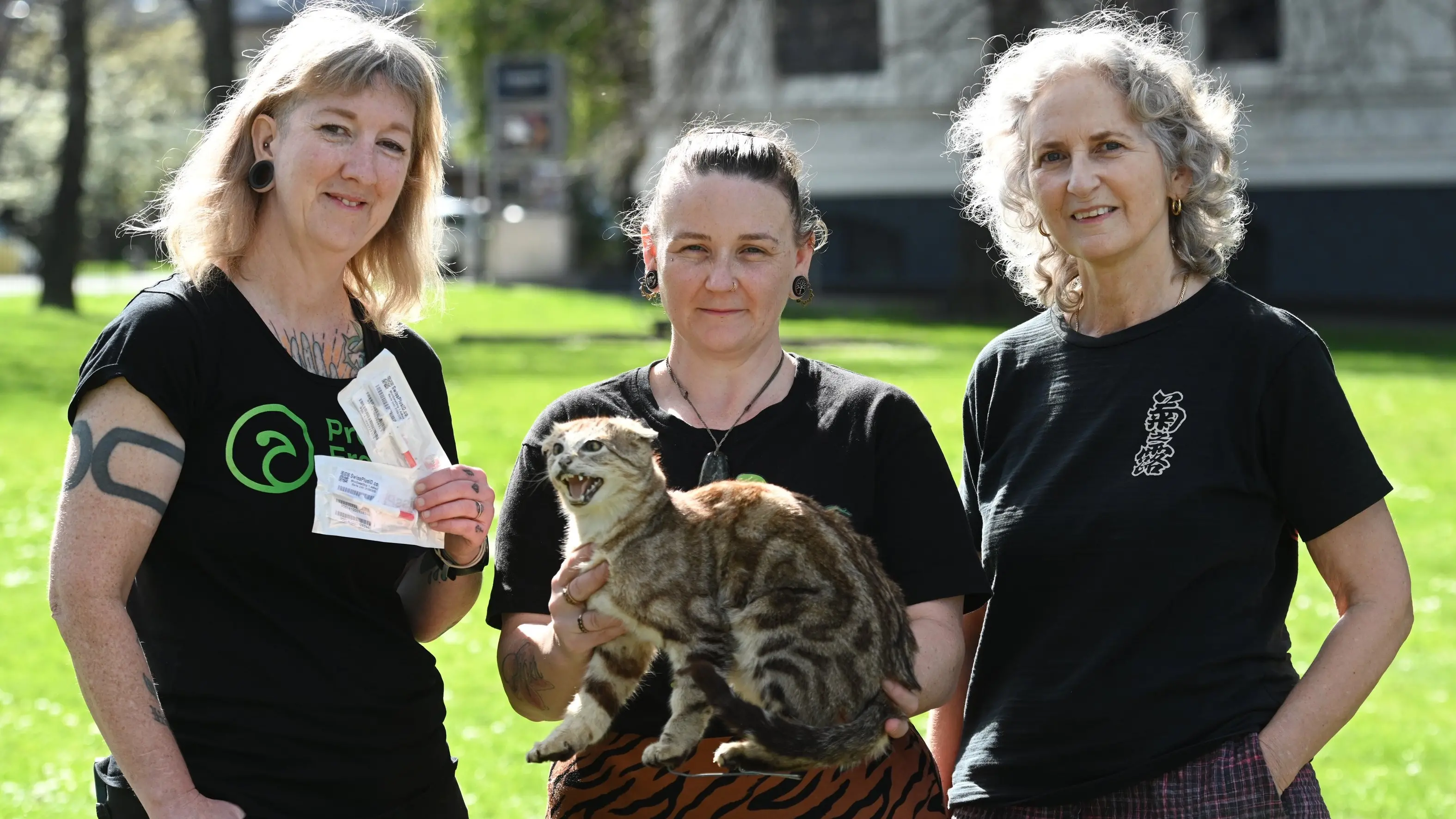 Calls for council action over Dunedin cats