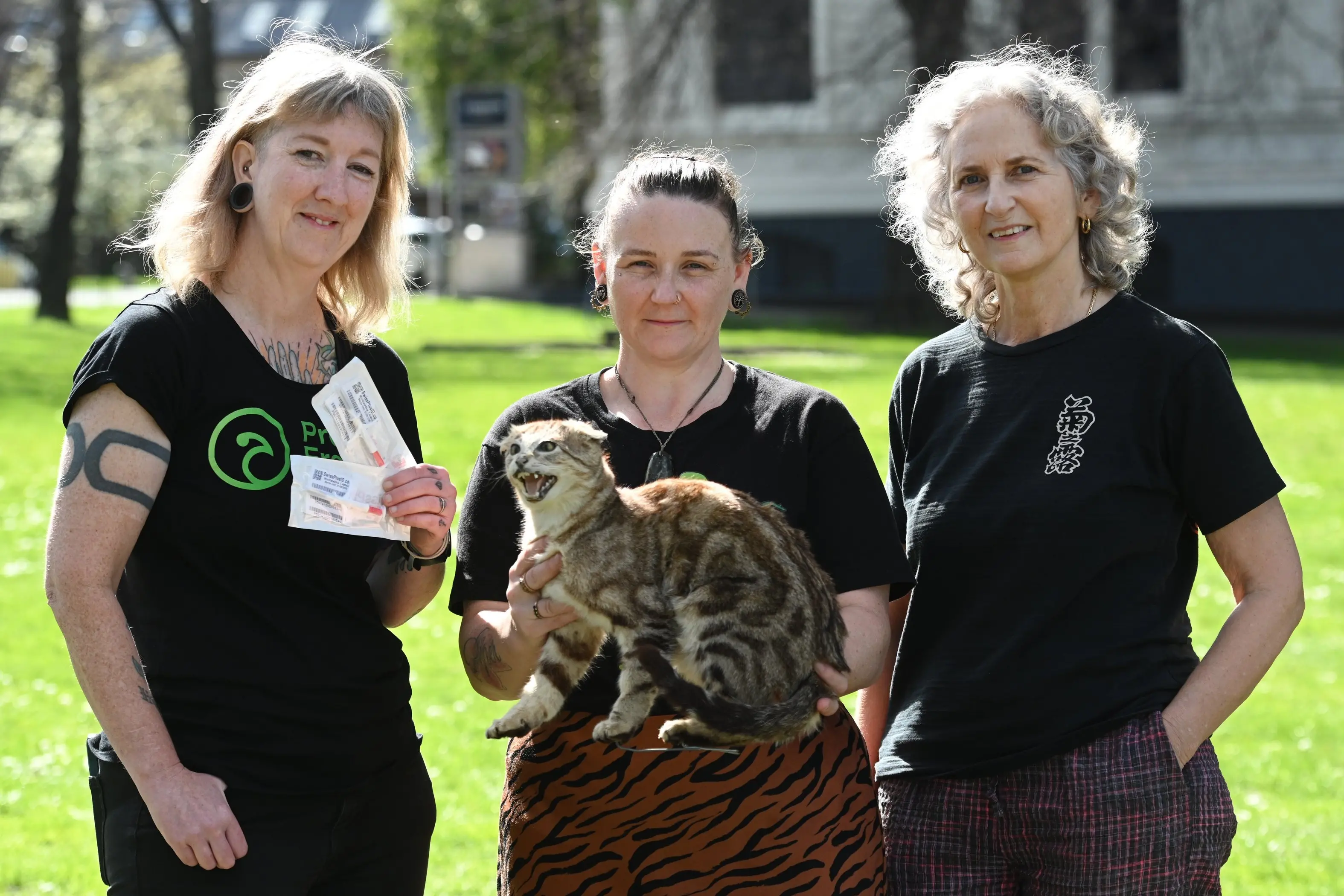 Calls for council action over Dunedin cats