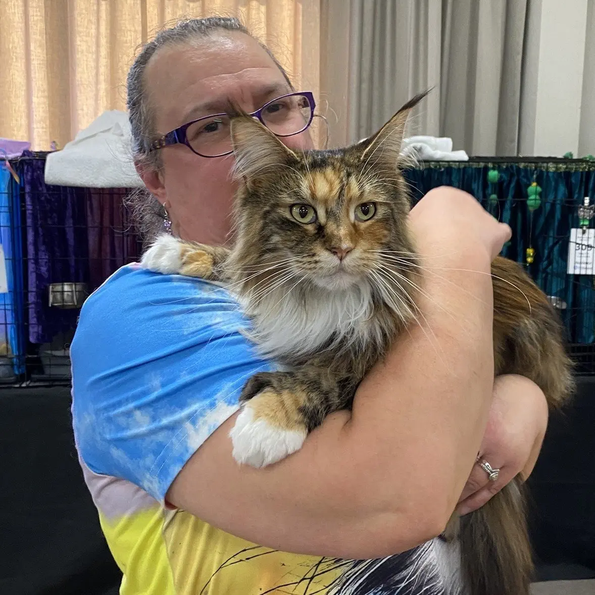 Cat lovers flock to show