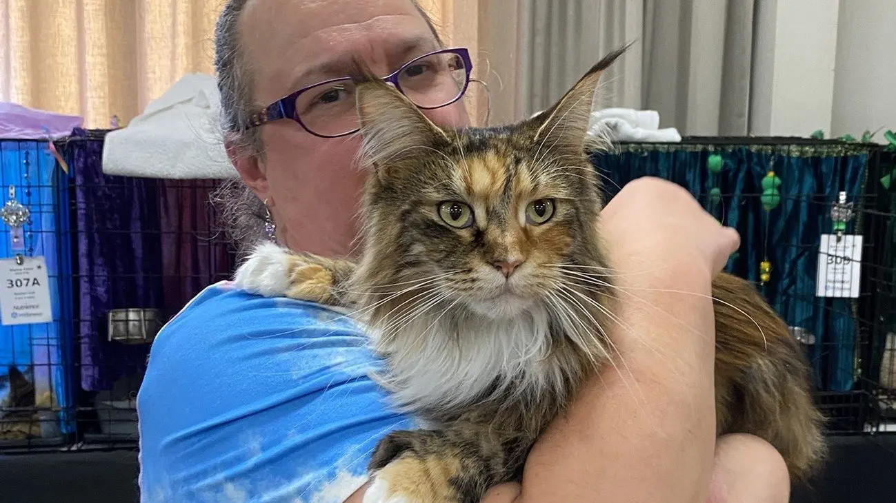 Cat lovers flock to show