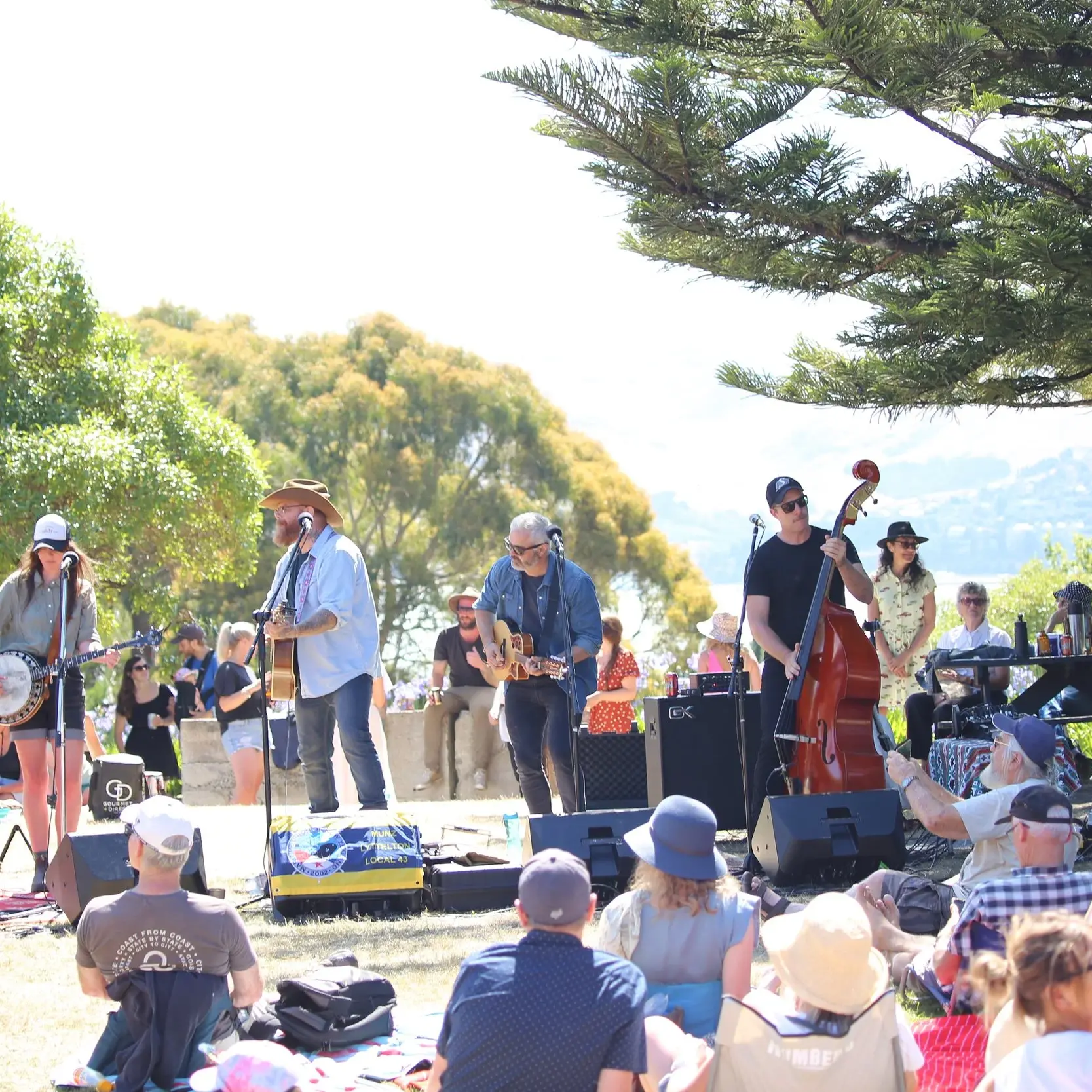 Organisers of Diamond Harbour concert series call off event