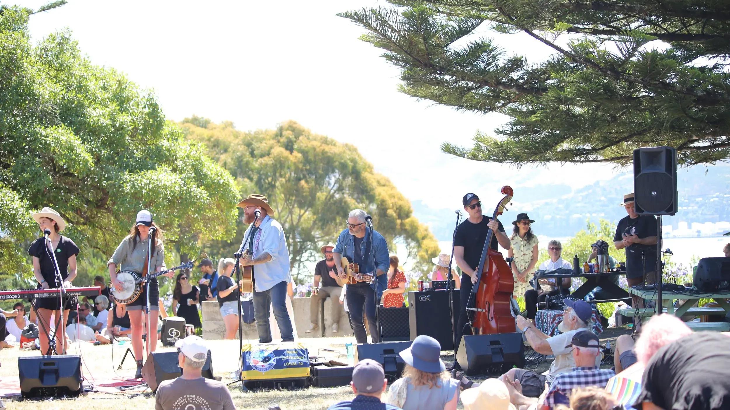 Organisers of Diamond Harbour concert series call off event