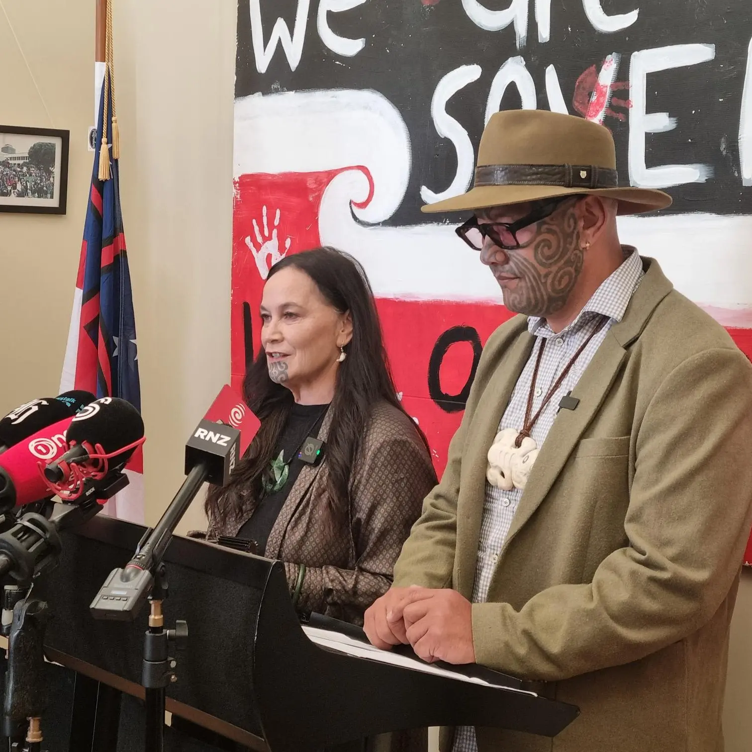 Te Pāti Māori keen to secure 'energy sovereignty'