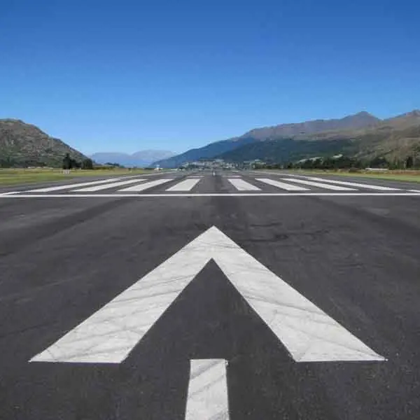 Questions over CAA bird strike call
