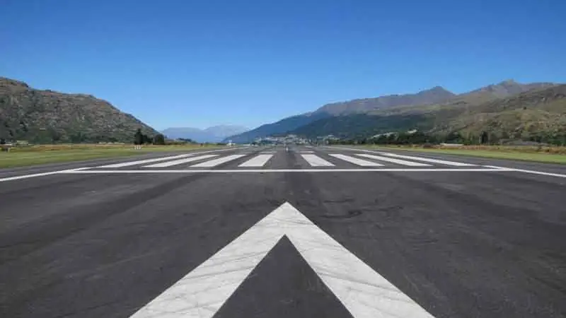 Questions over CAA bird strike call