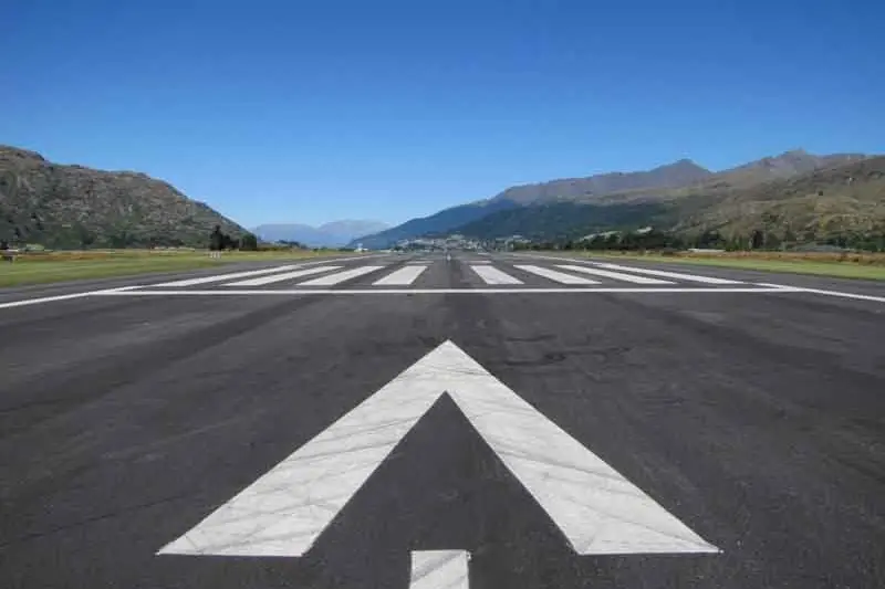 Questions over CAA bird strike call