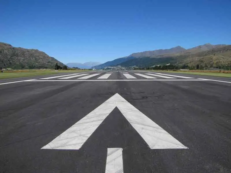 Questions over CAA bird strike call