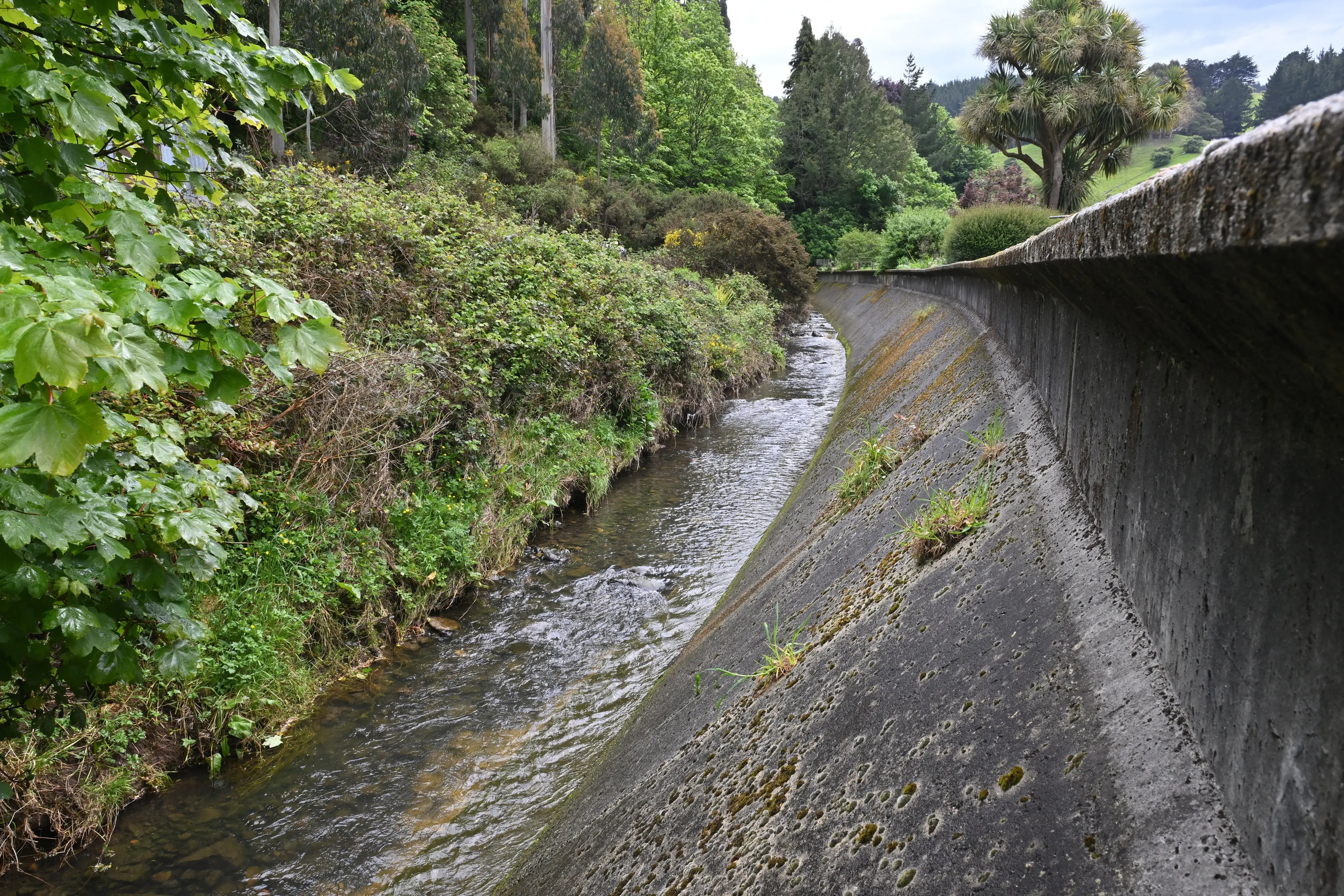 Lindsay Creek flood protection back on the agenda