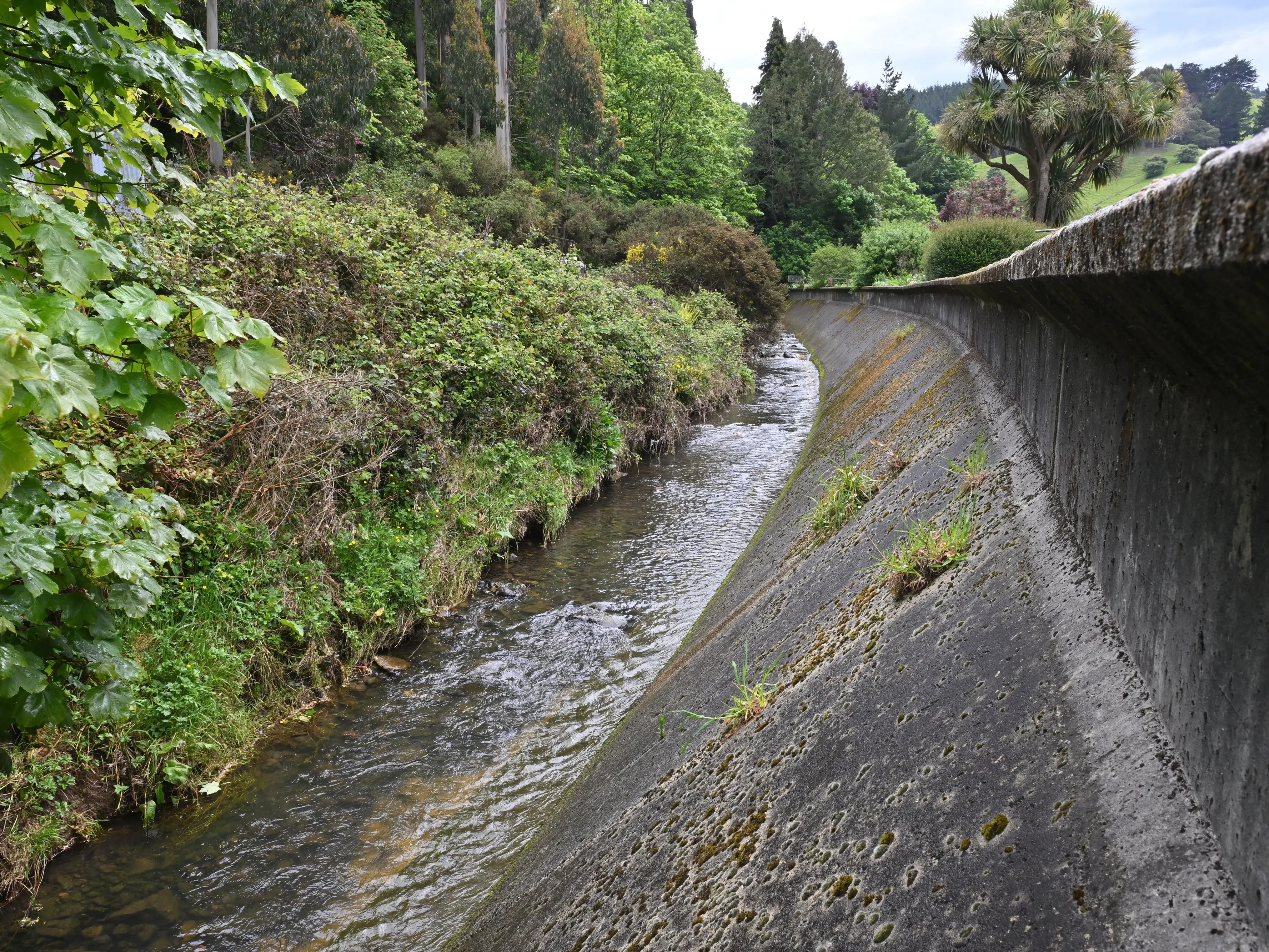 Lindsay Creek flood protection back on the agenda
