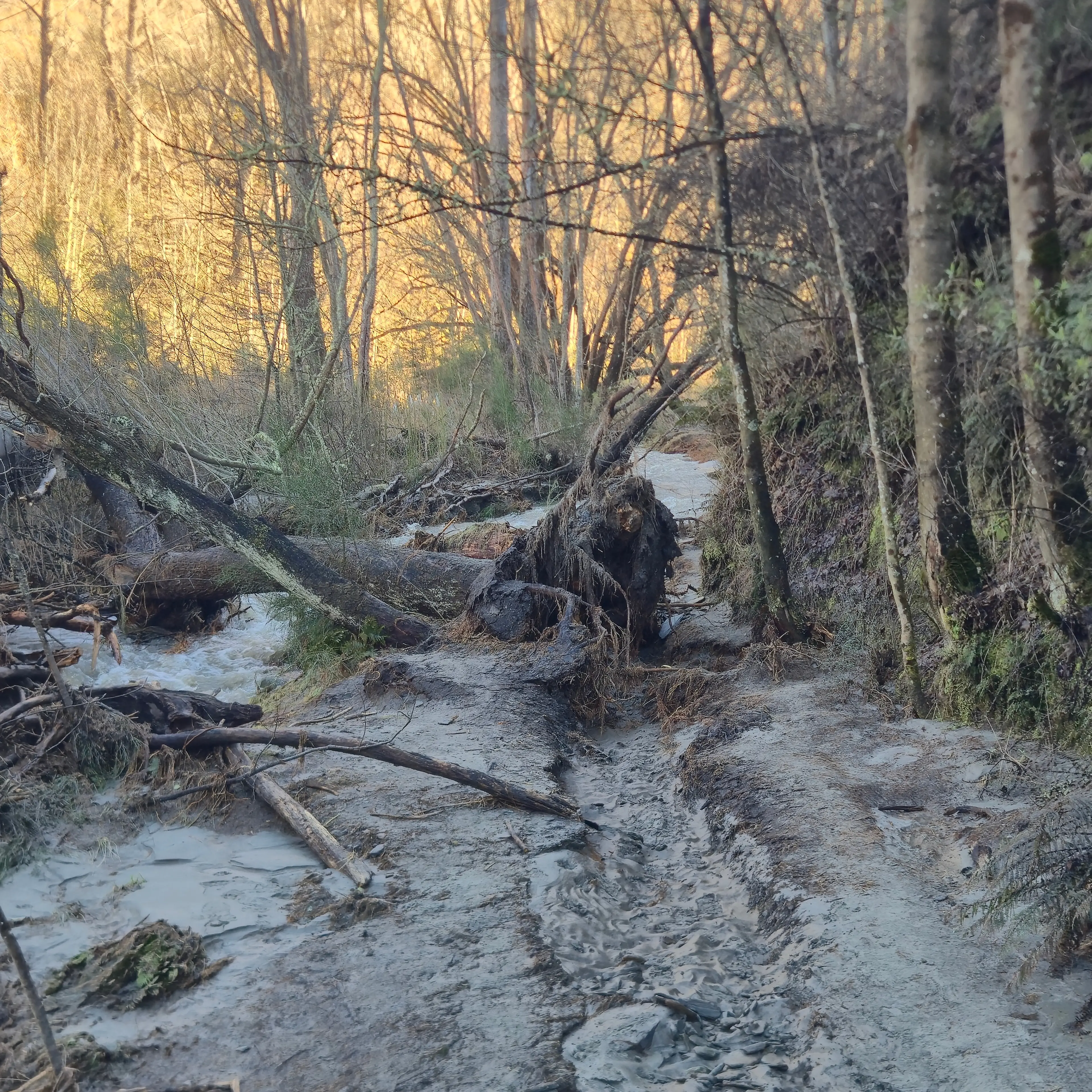 Trail damage could force course corrections