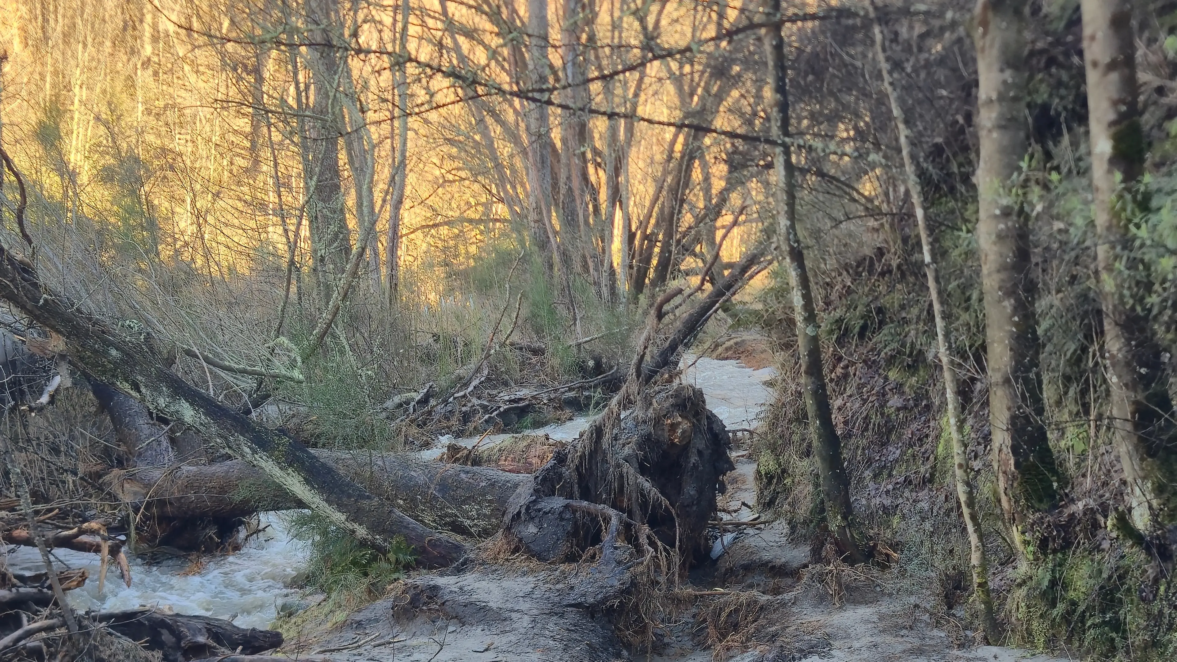 Trail damage could force course corrections