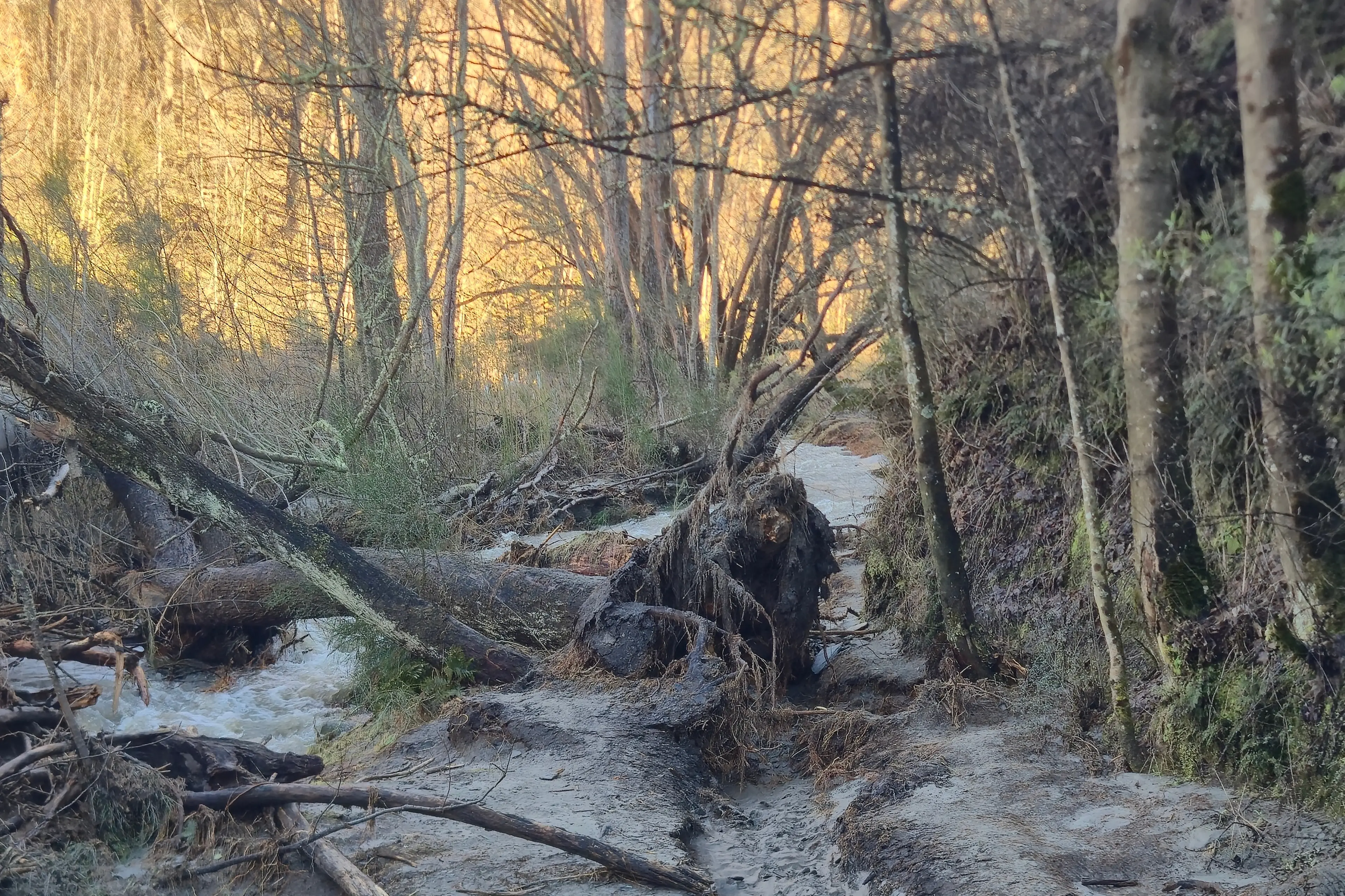 Trail damage could force course corrections