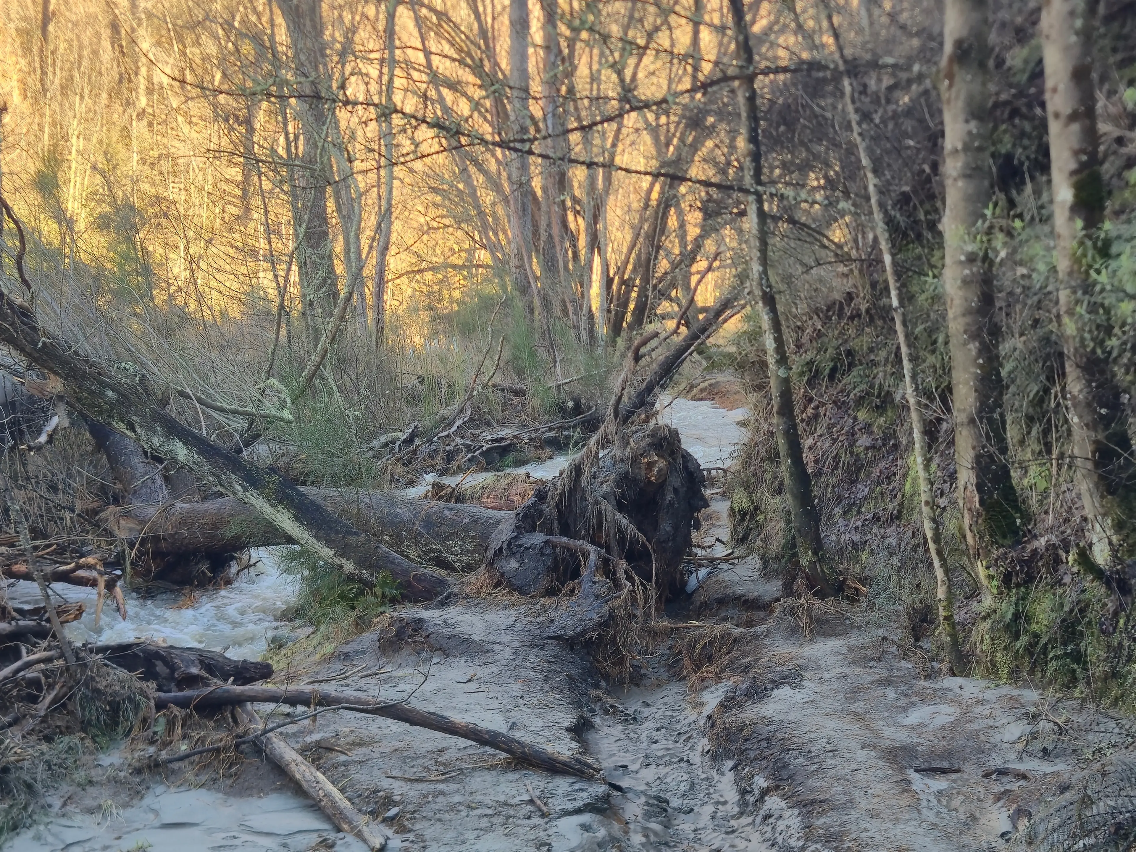 Trail damage could force course corrections