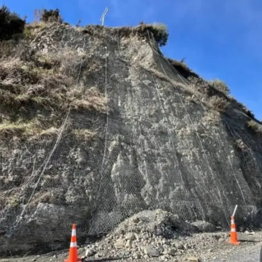 ‘Bleeding money’: Frustration as SH6 closure hits hard in Haast