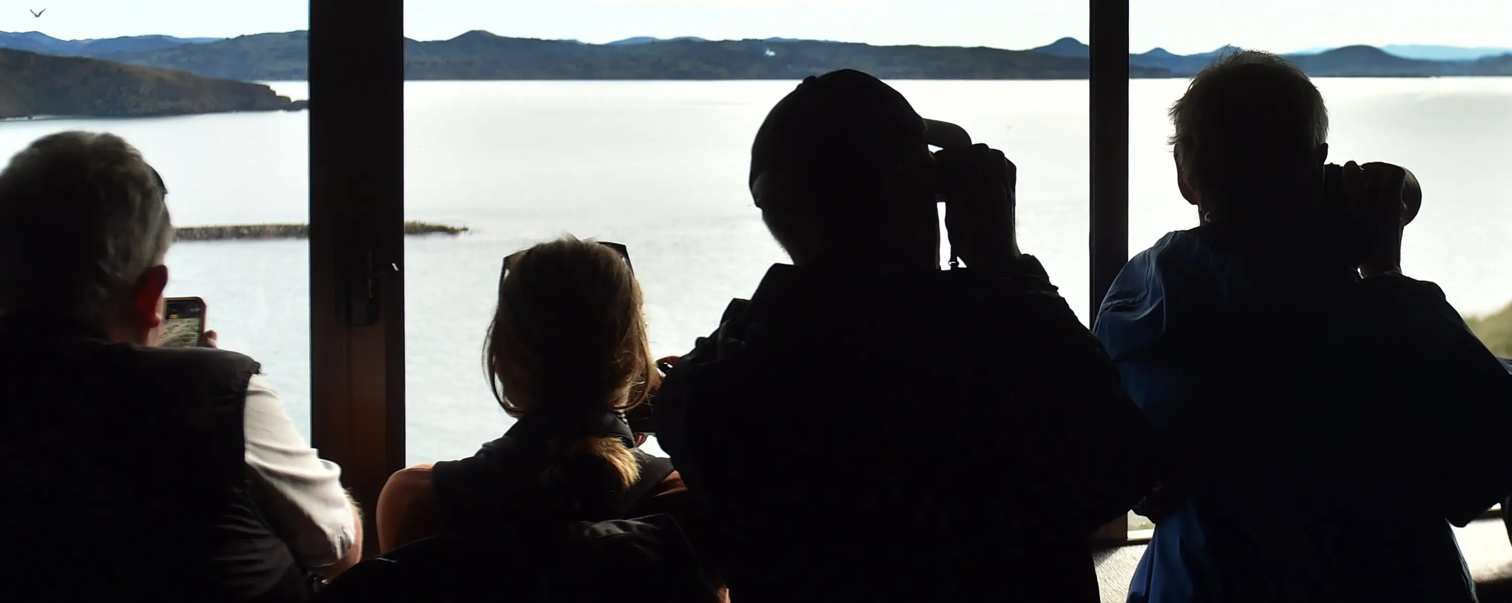 odt.co.nz - Beyond sustainability to regeneration: New Zealand's path to 'ESG' tourism