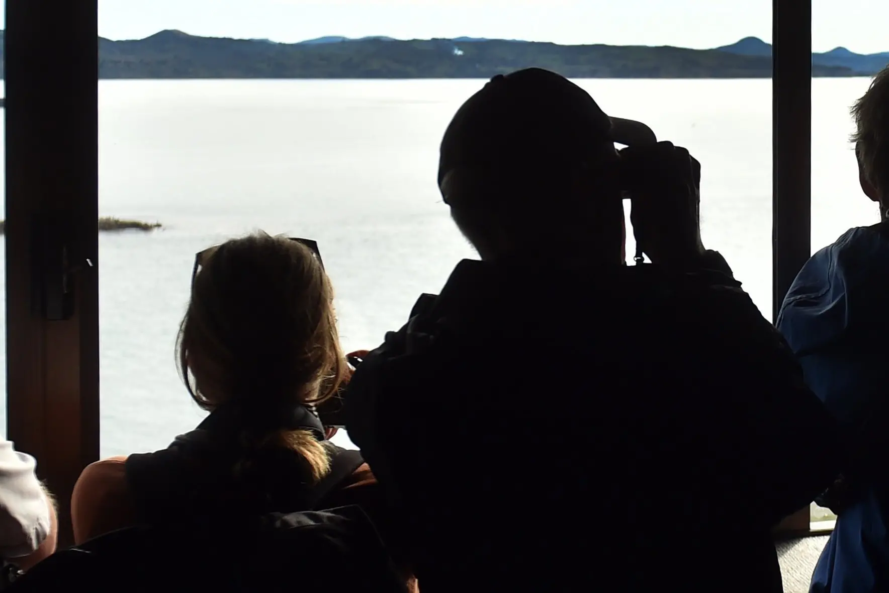 A sustainable enterprise? Tourists at the Albatross Colony. PHOTO: PETER MCINTOSH