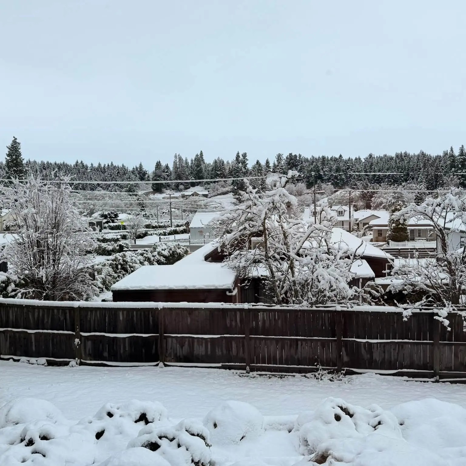Cold snap brings rain and snow for South