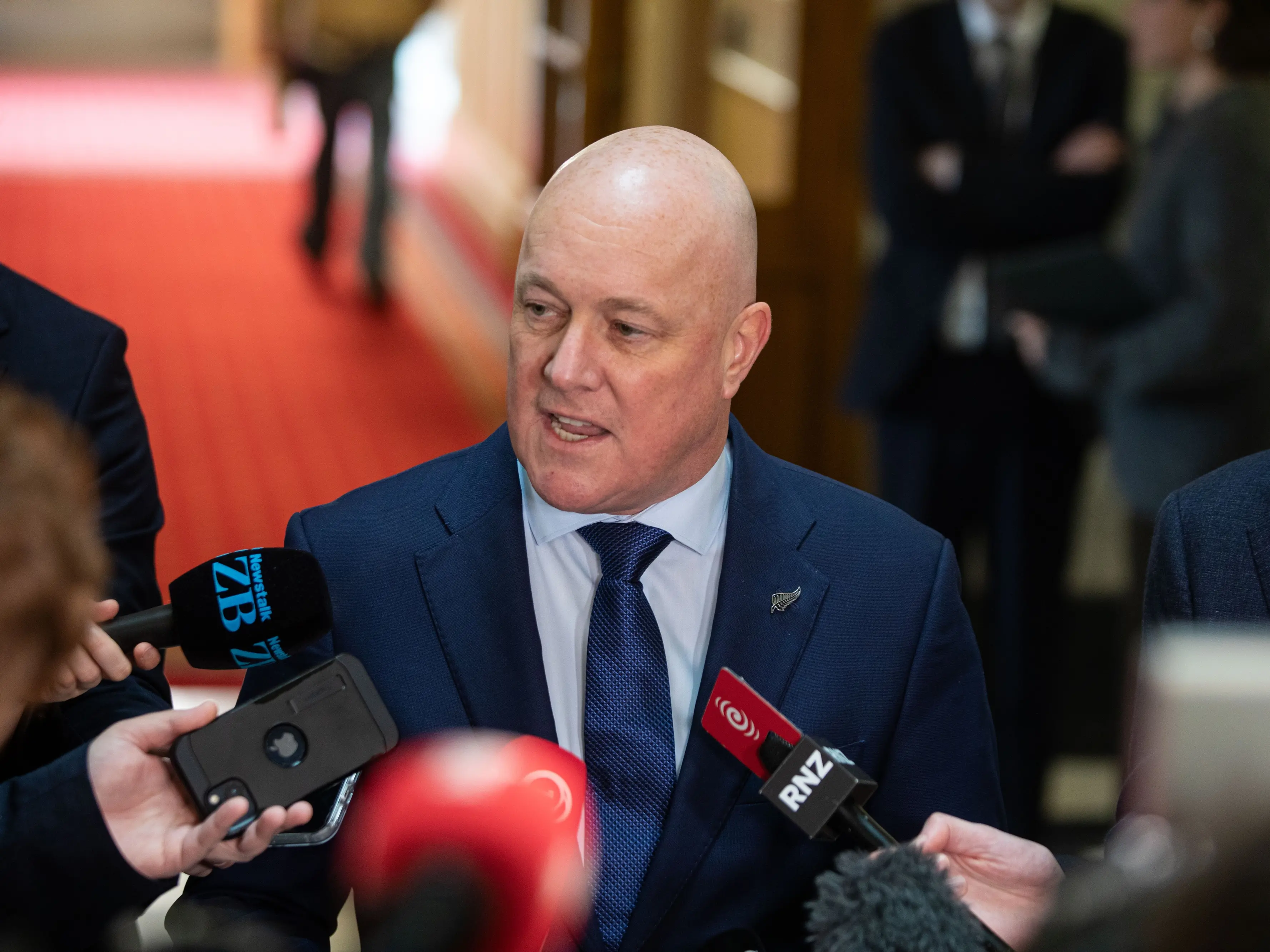 MMP referendum: Costing unclear and could Māori seats be cut?