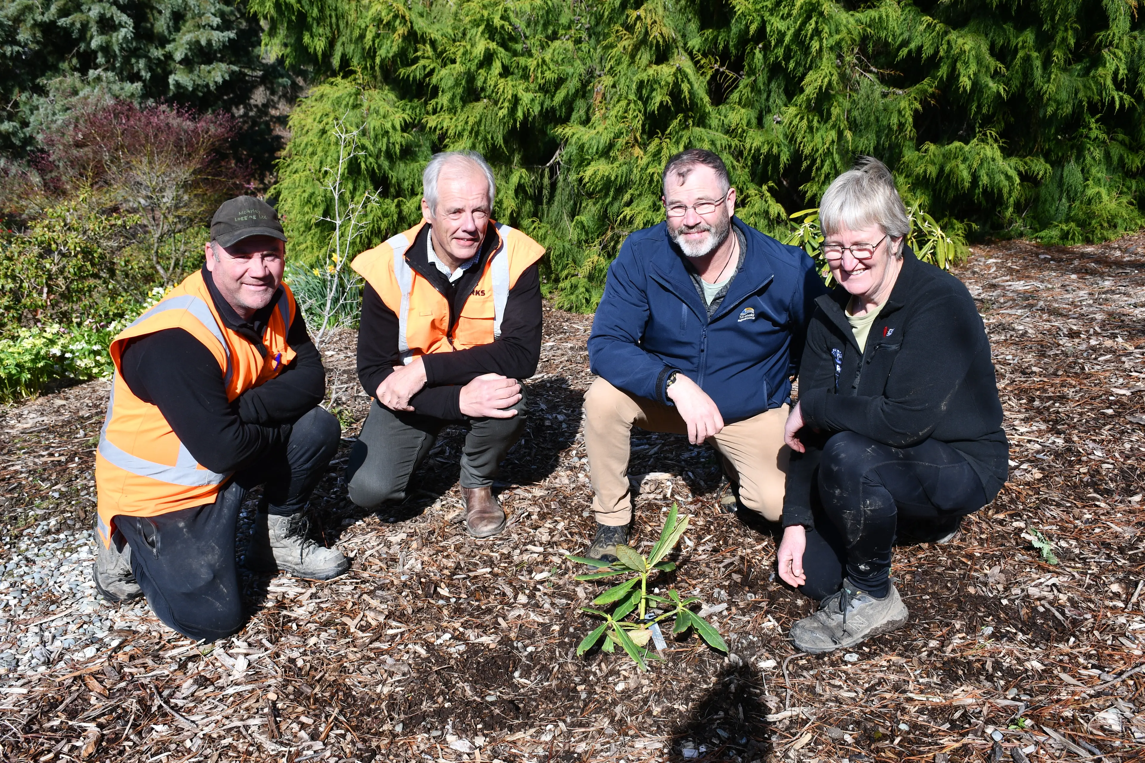 Fifteen varied rhododendrons were planted as part of a nationwide conservation project near the Mitre St entrance of Gore\\'s Bannerman Park on Thursday, and (from left) Gore District Council horticulture lead Ross Williamson, parks and recreation manager Keith McRobie, Taranaki Regional Council rhododendron collections officer Andrew Brooker and Gore District Council leading hand in cemeteries and amenity Dianne Hamlin admire a Sichuanese variety that went in. Photo: Gemma Sinclair