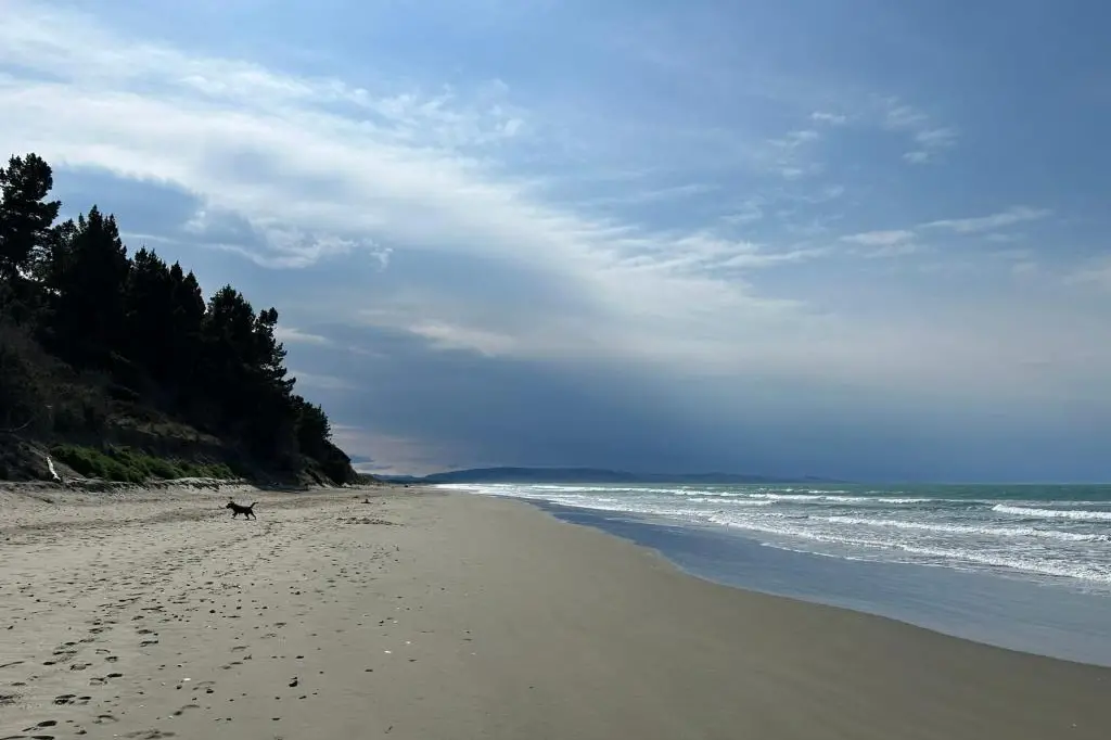 Waikuku Beach. Photo: Supplied