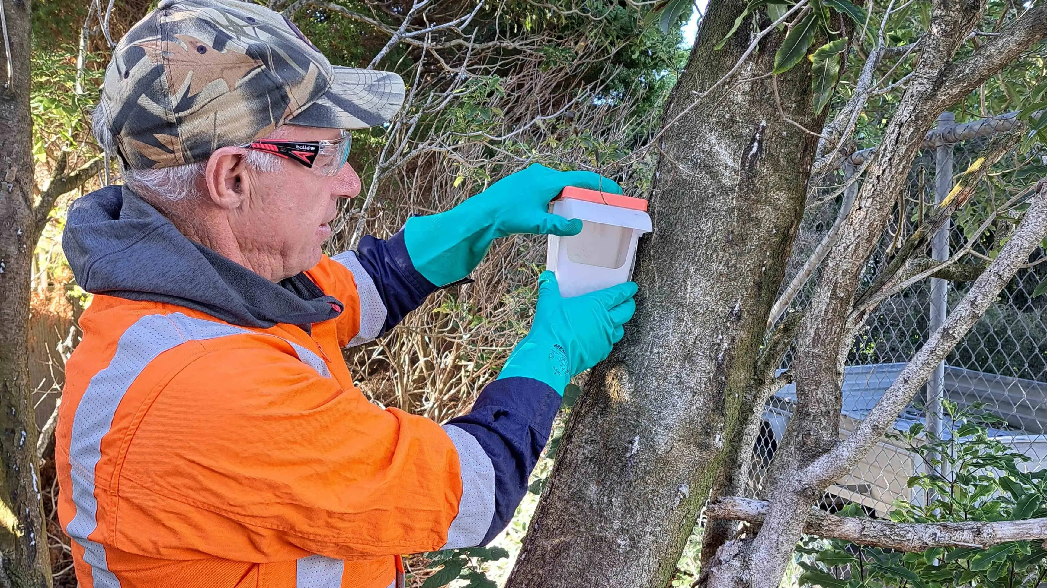 ‘Stepped up big time’: Possums running rife in Southland