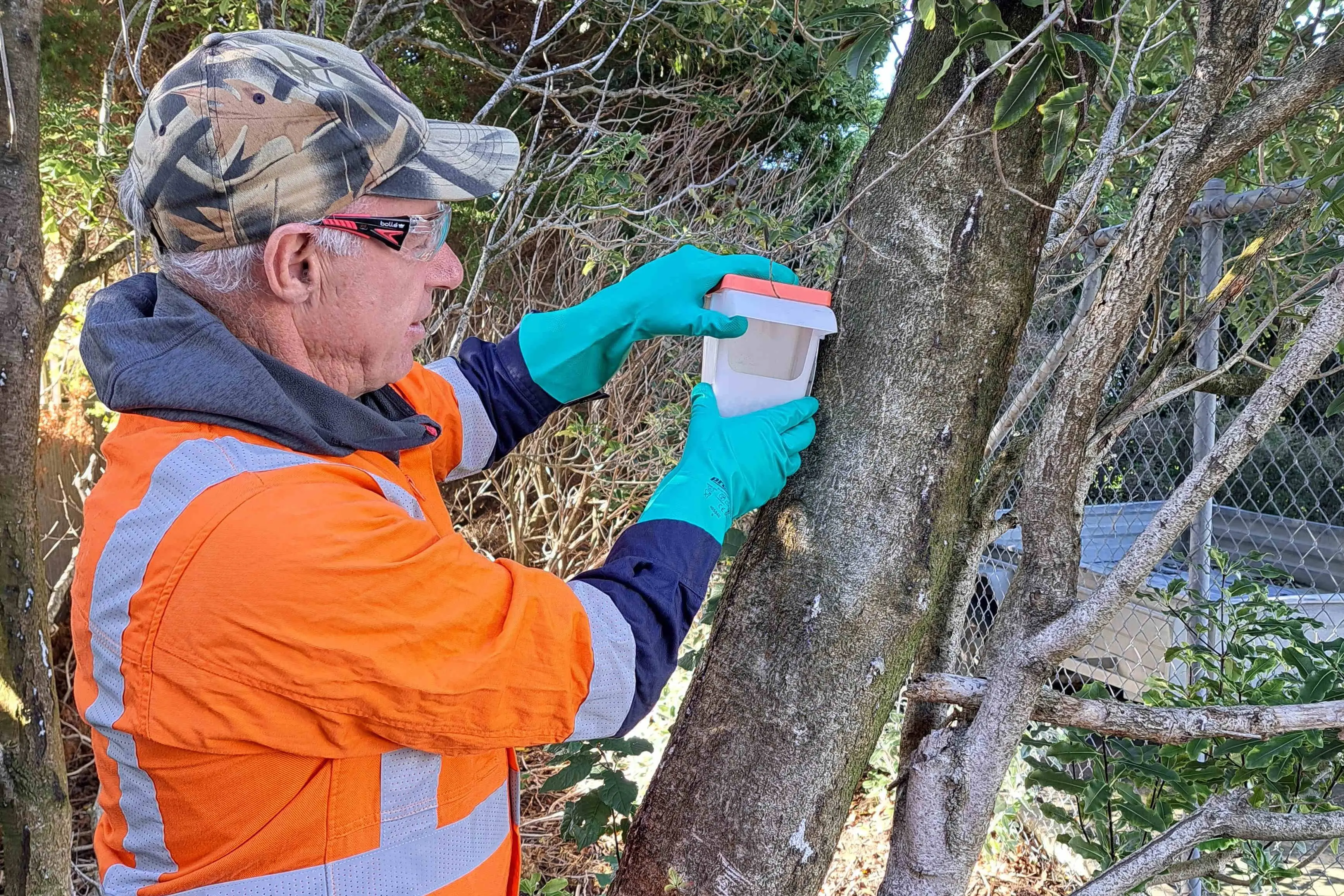 Environment Southland employee Raoul Thomas carrying out possum control work. Photo: Environment Southland/Supplied