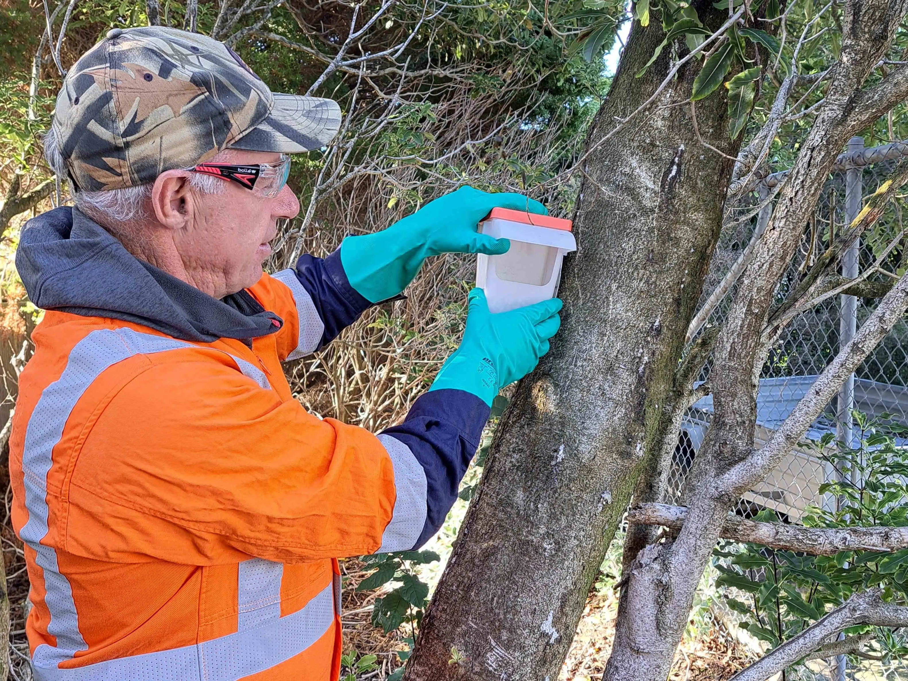 ‘Stepped up big time’: Possums running rife in Southland