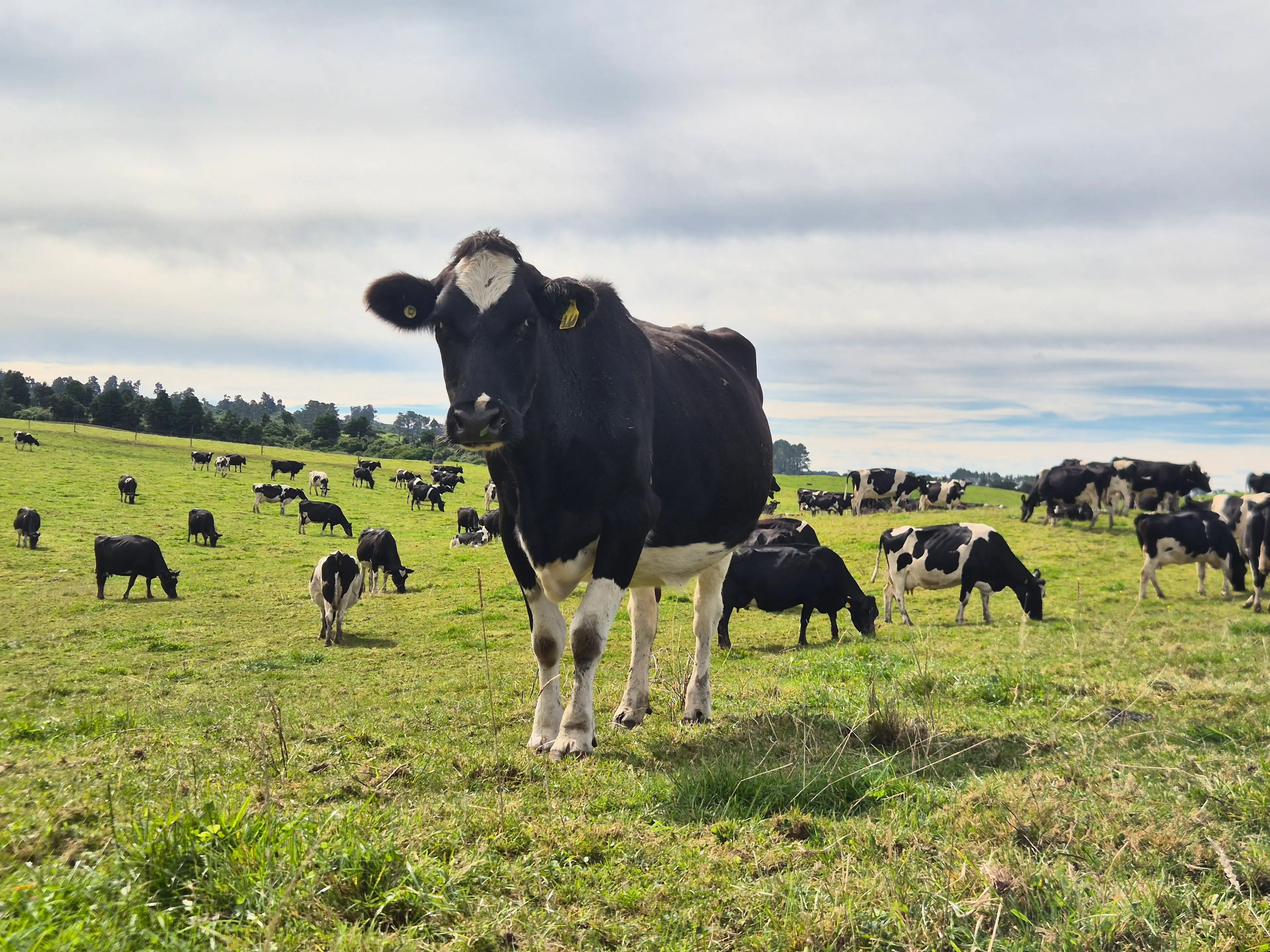 Many farmers pessimistic despite decade-high profits