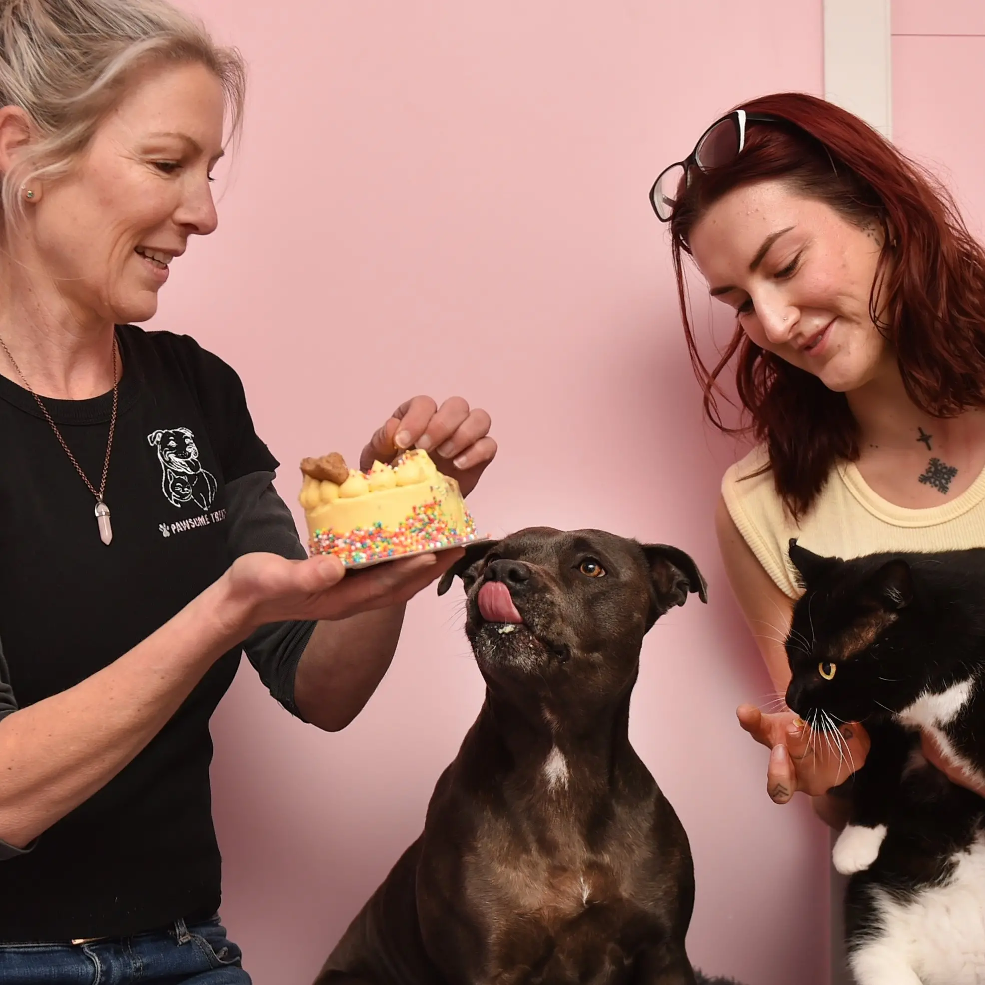 Dunedin baker selling birthday cakes for dogs, cats . . . and rats