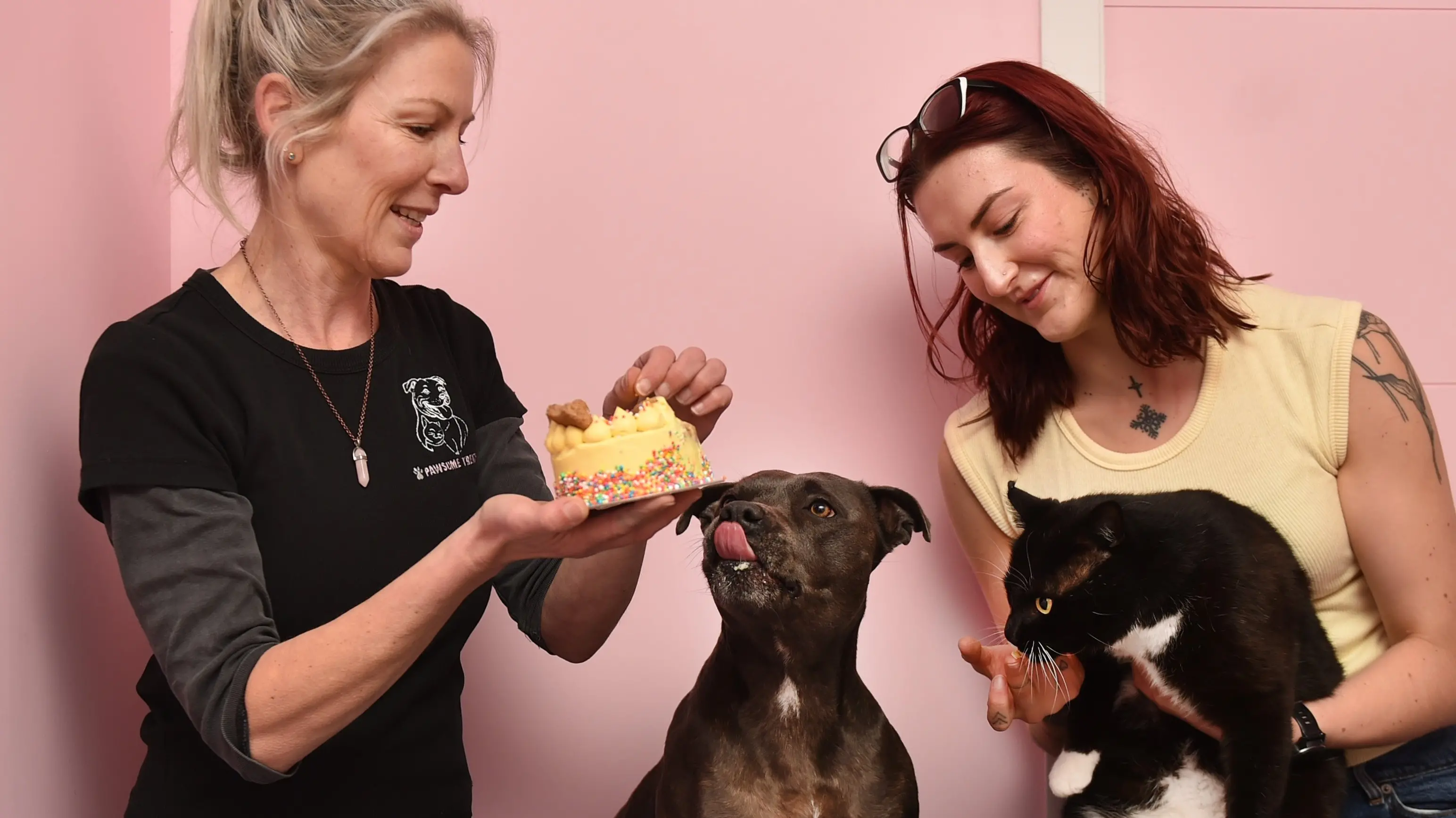 Dunedin baker selling birthday cakes for dogs, cats . . . and rats