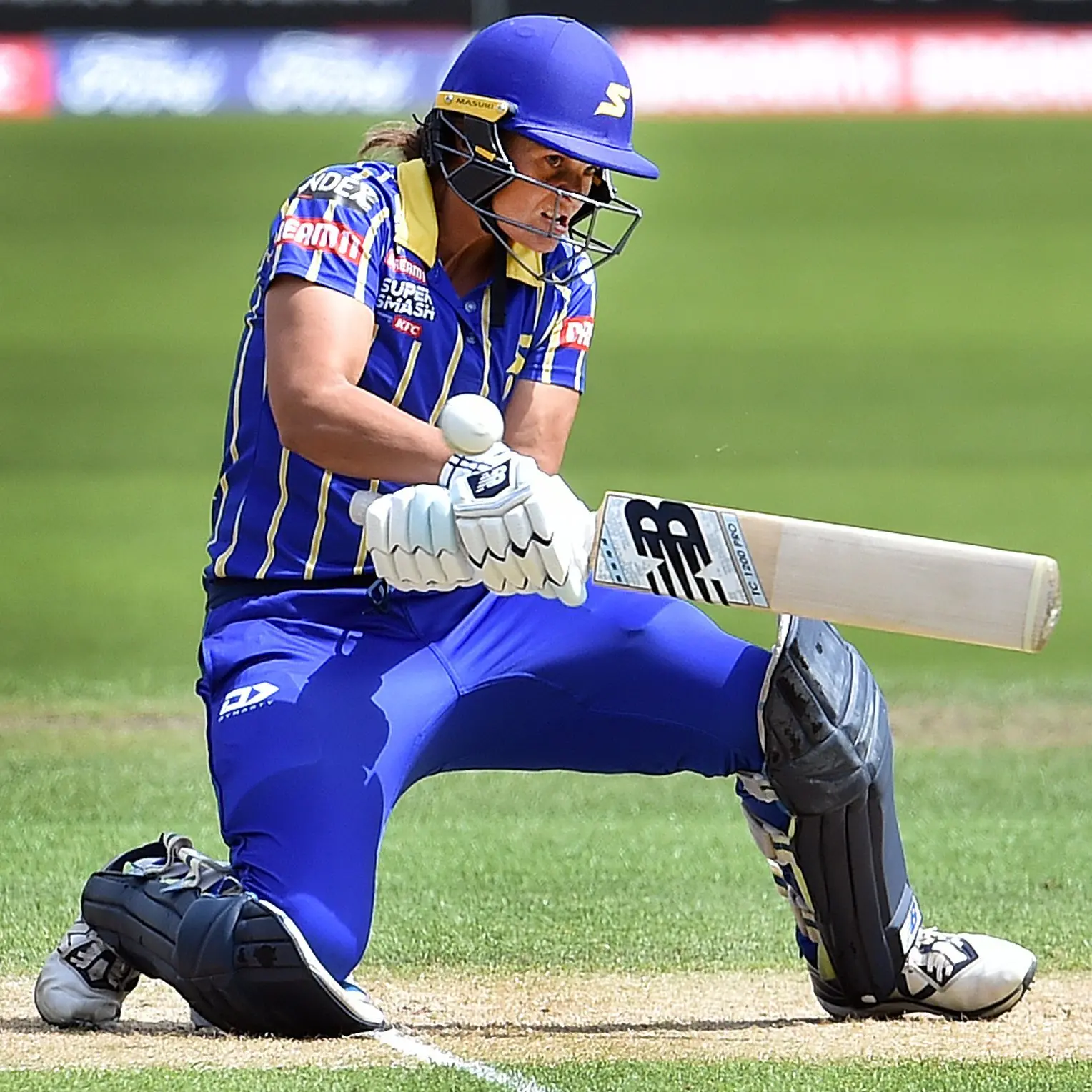 Otago stats you need to know