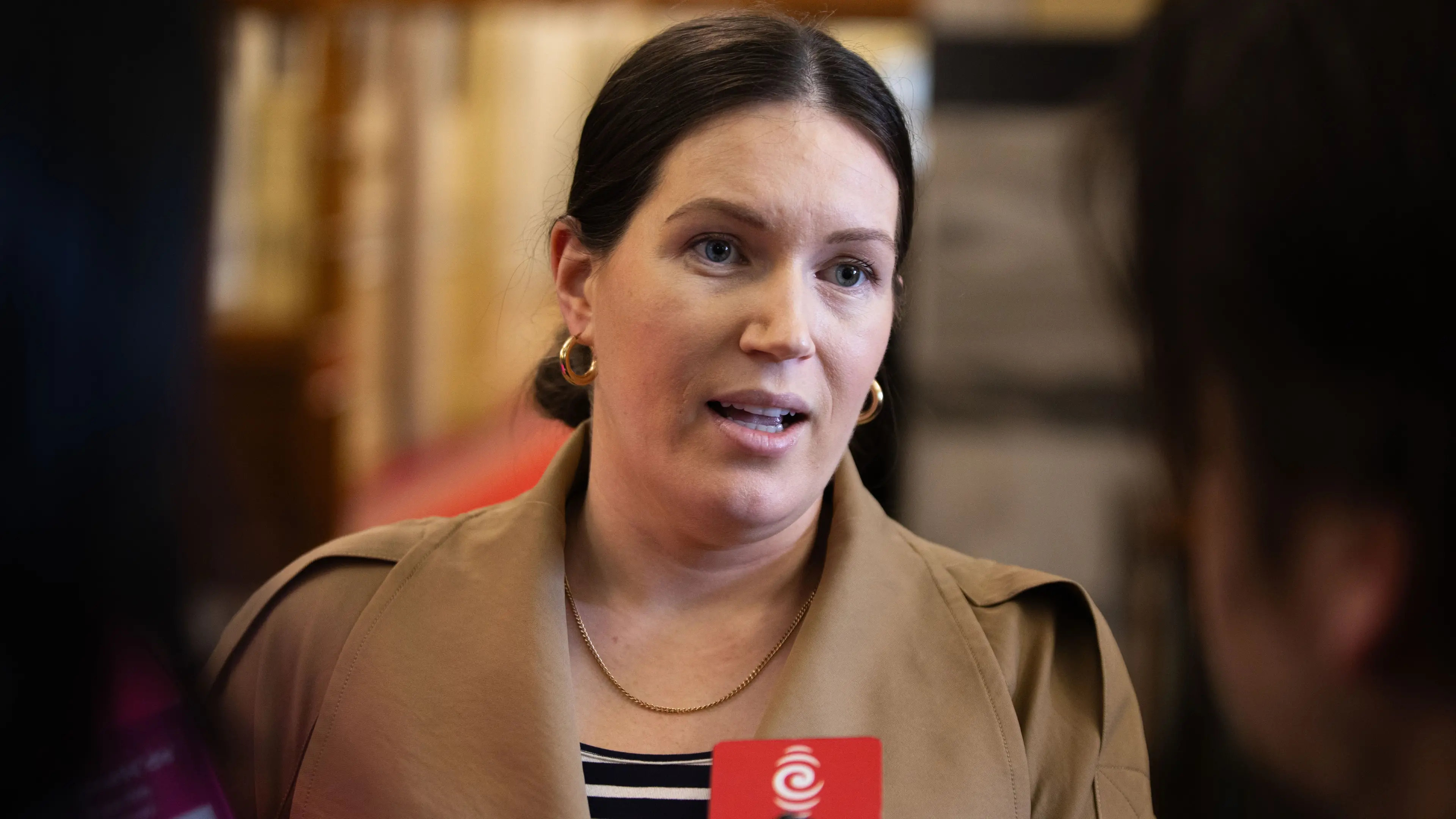 FENZ under fire: Union sides with minister