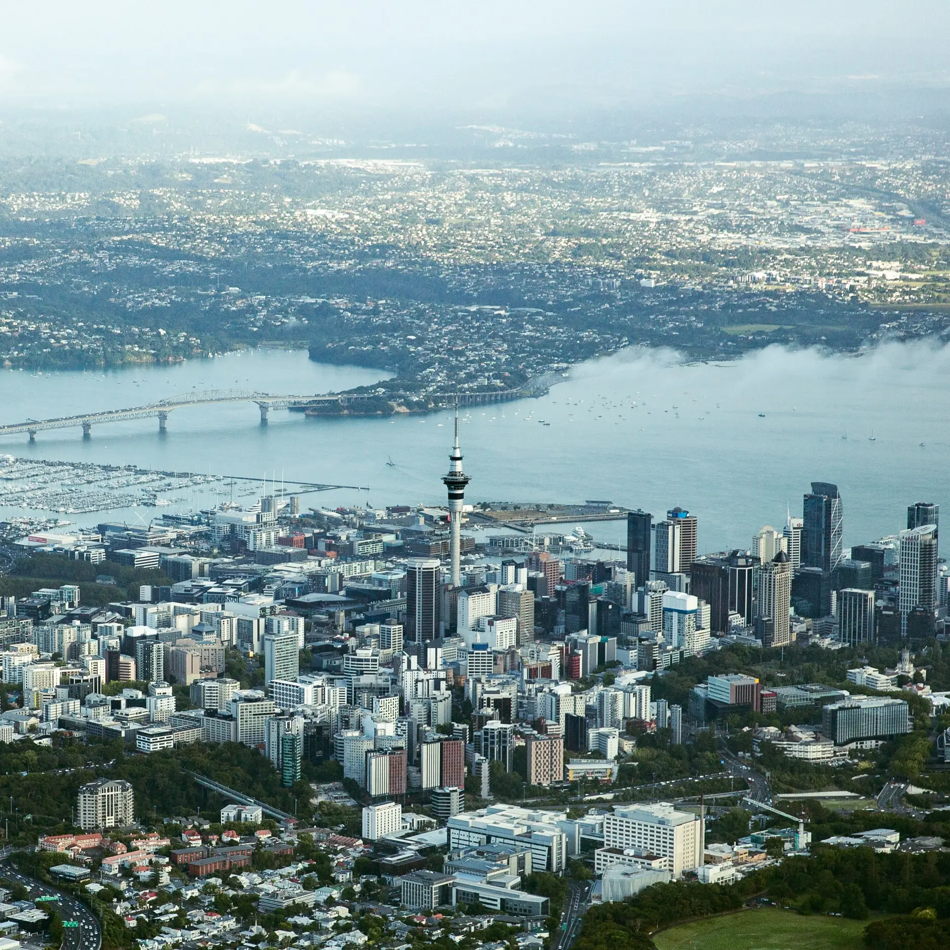 Govt seeks to scrap Auckland CBD height limits