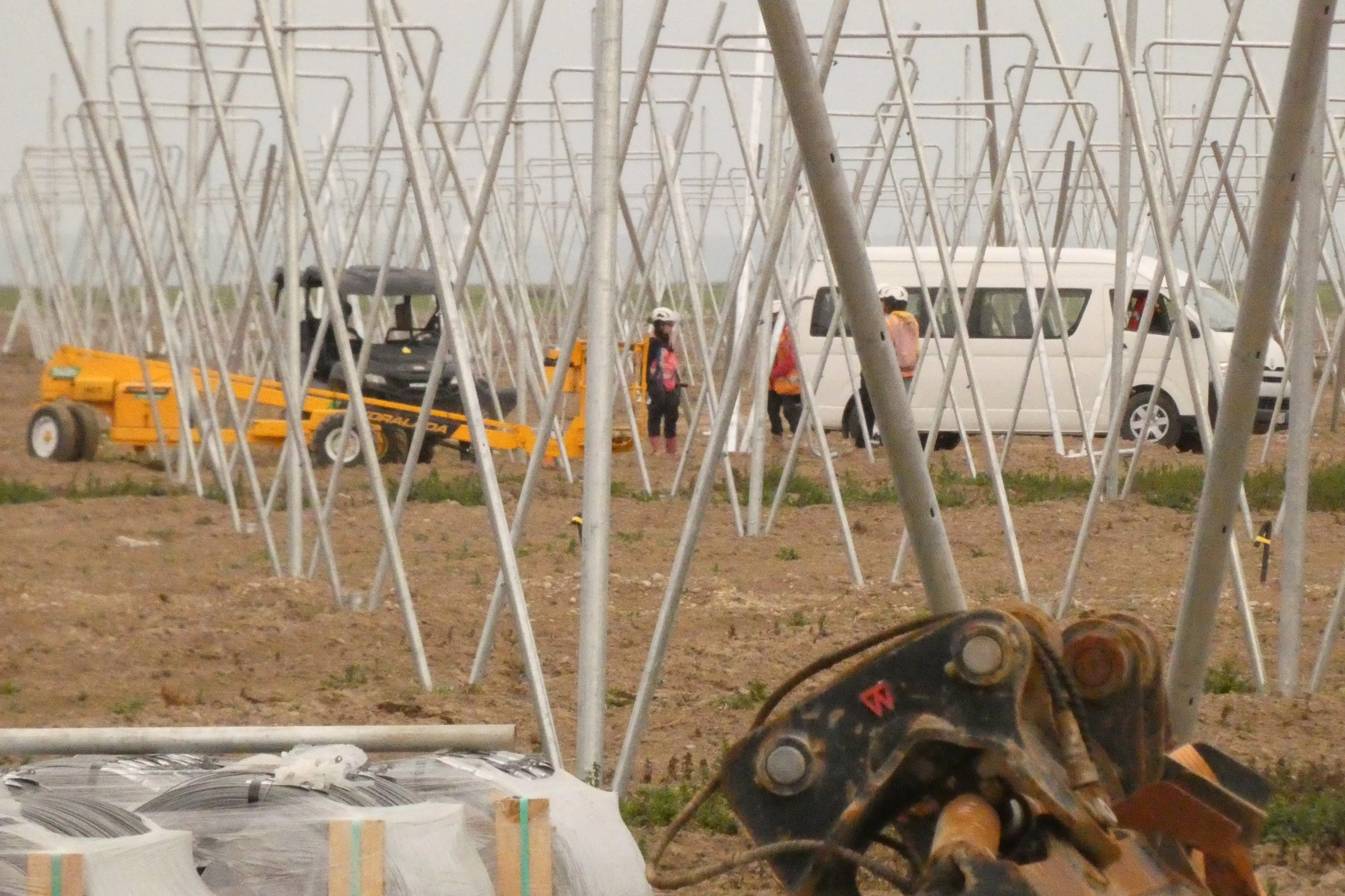 Horticulture growing is vegetable dominated in Canterbury, but fruit production such as a large apple development near Rakaia is increasing. Photo: Tim Cronshaw