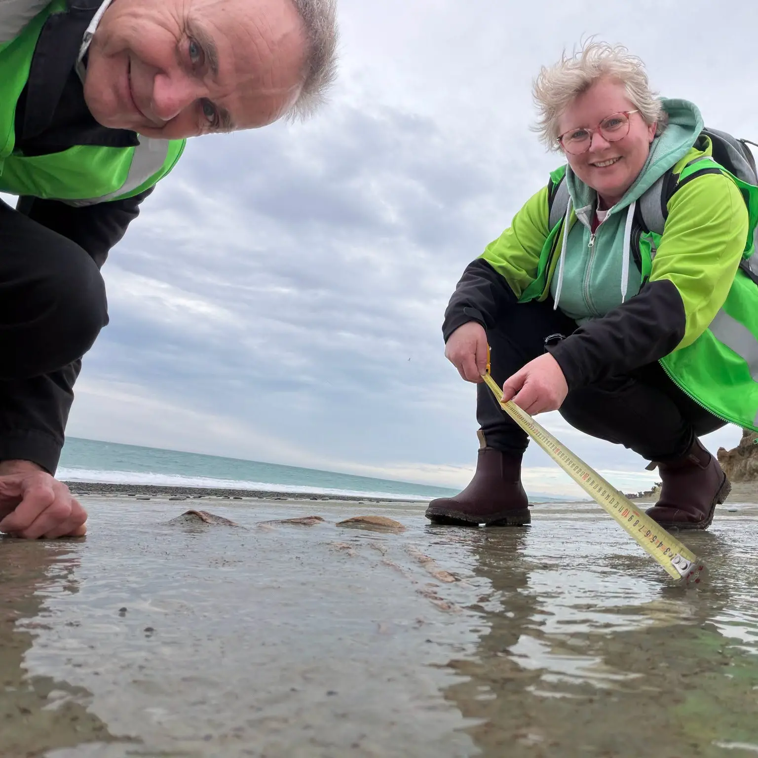 Moa bones discovered on beach south of Timaru