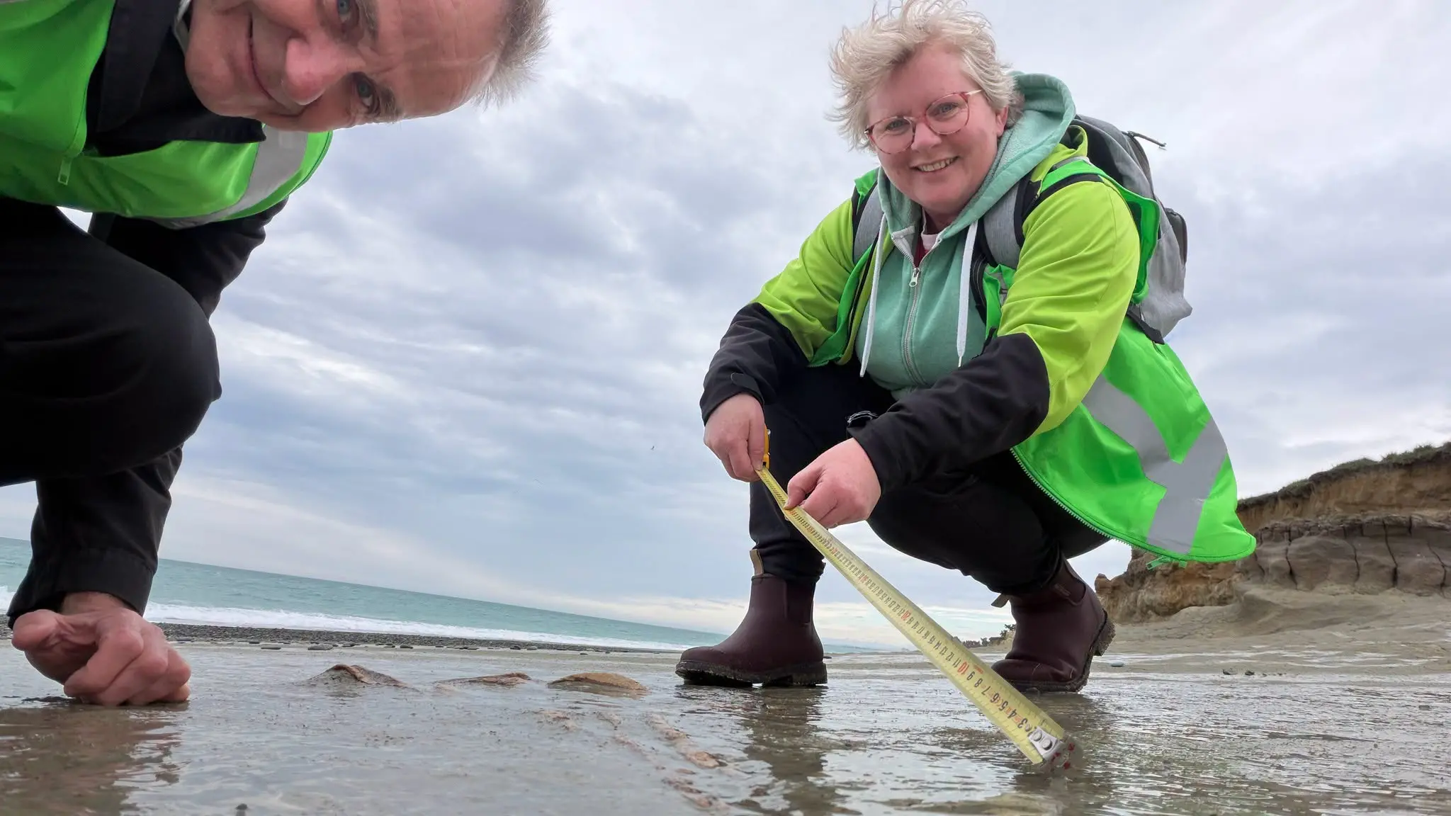 Moa bones discovered on beach south of Timaru
