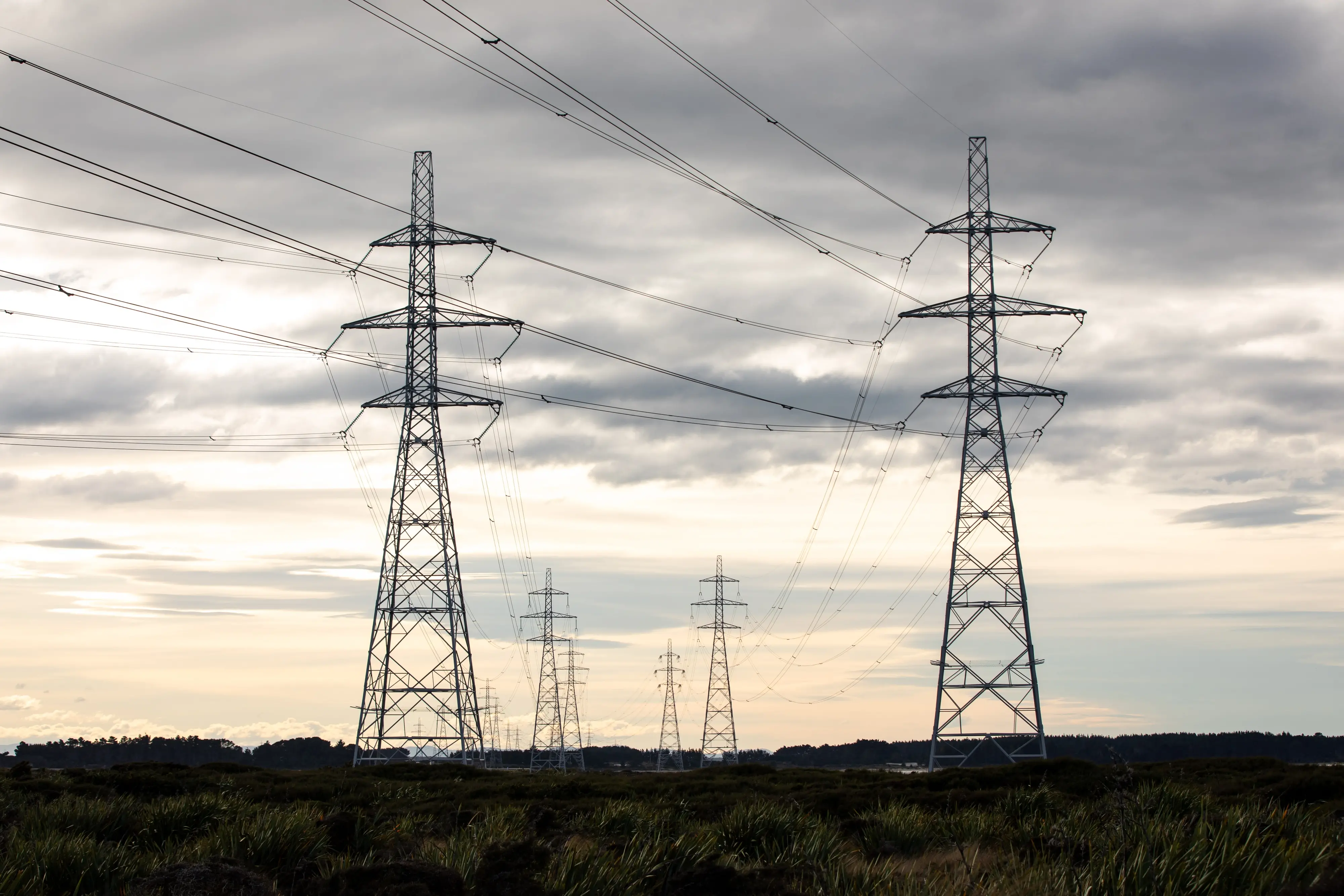 odt.co.nz - Russell Palmer - ACT says it won't split up power companies