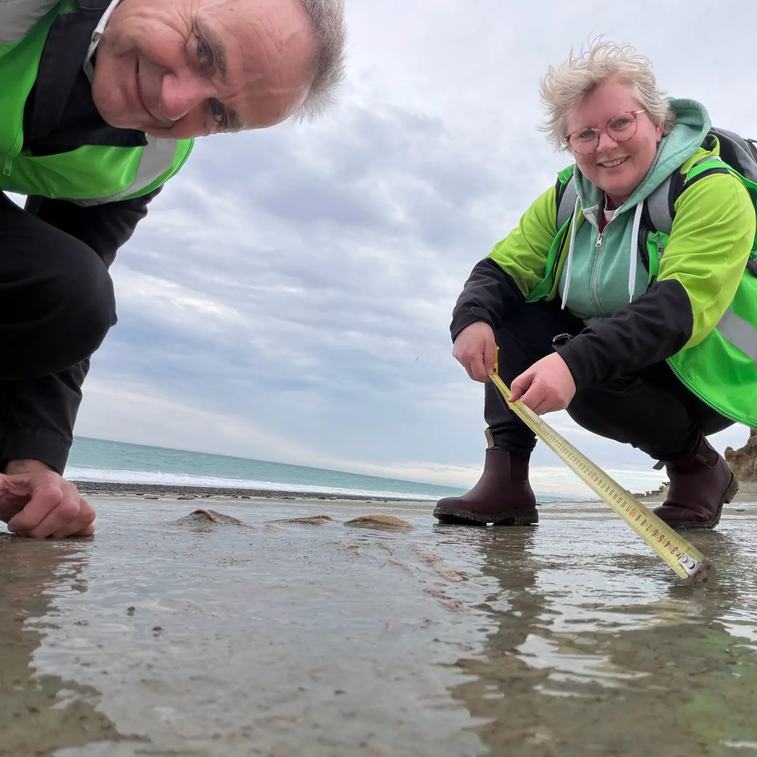 Moa bones discovered on beach south of Timaru