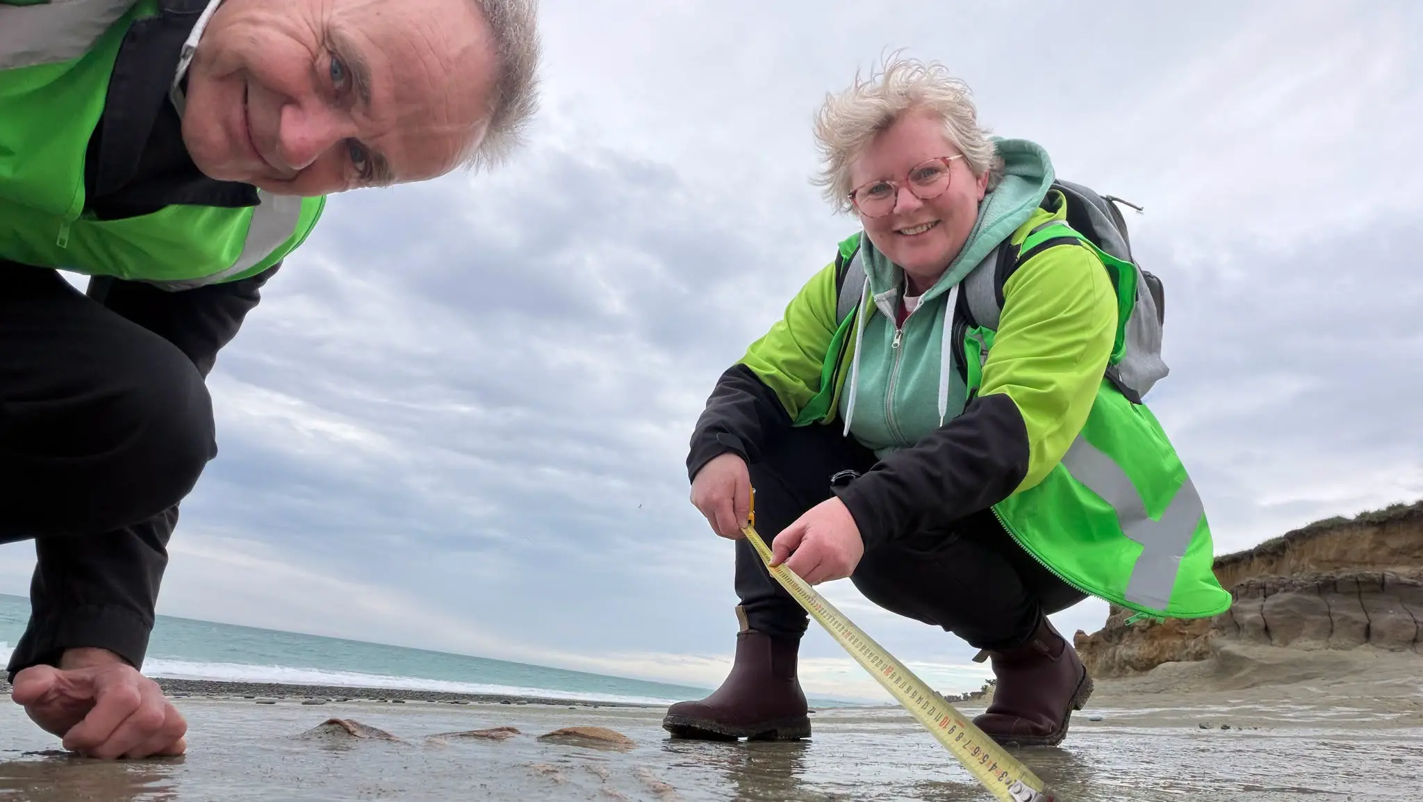 Moa bones discovered on beach south of Timaru