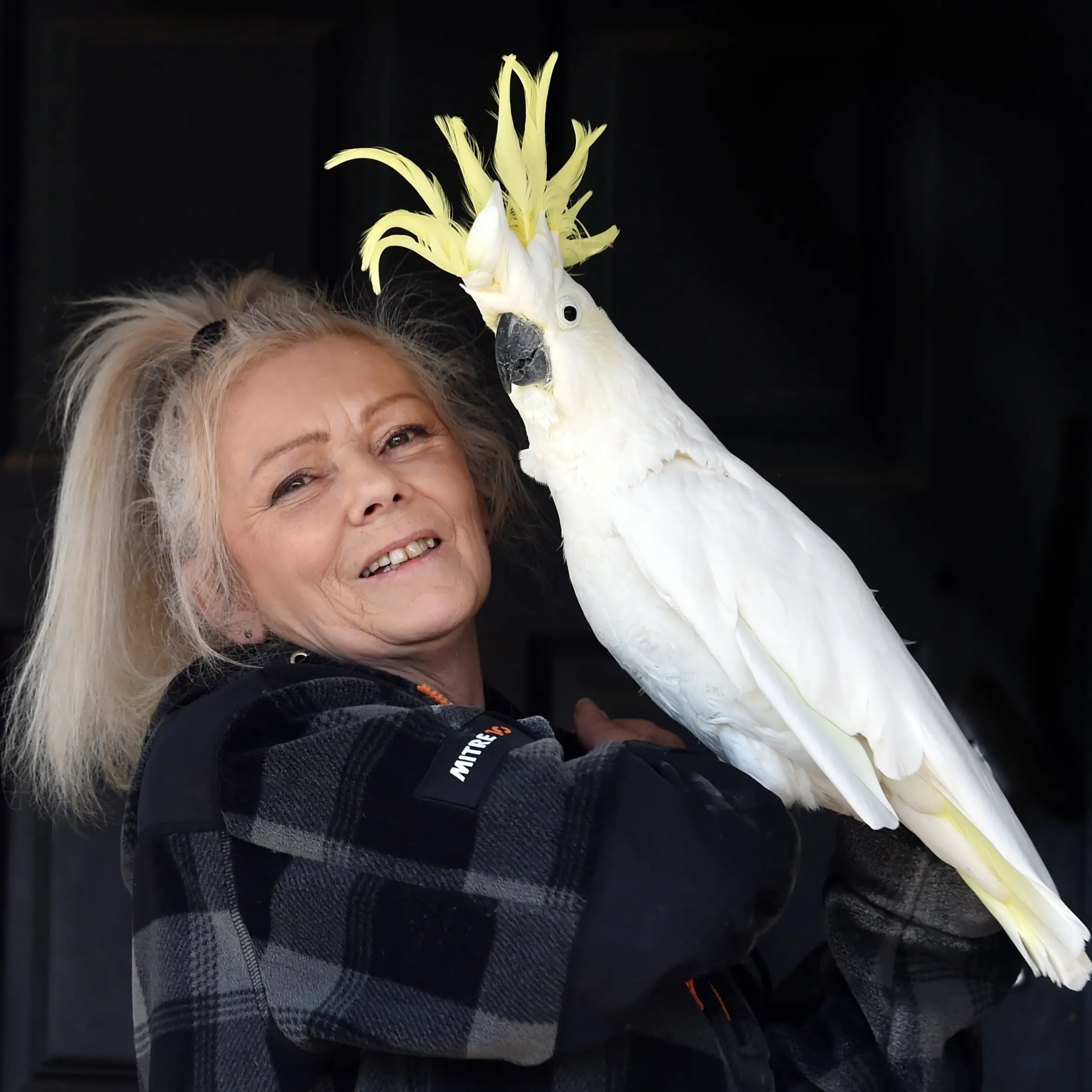 Dunedin Bird Rescue set to soar as new rooms planned