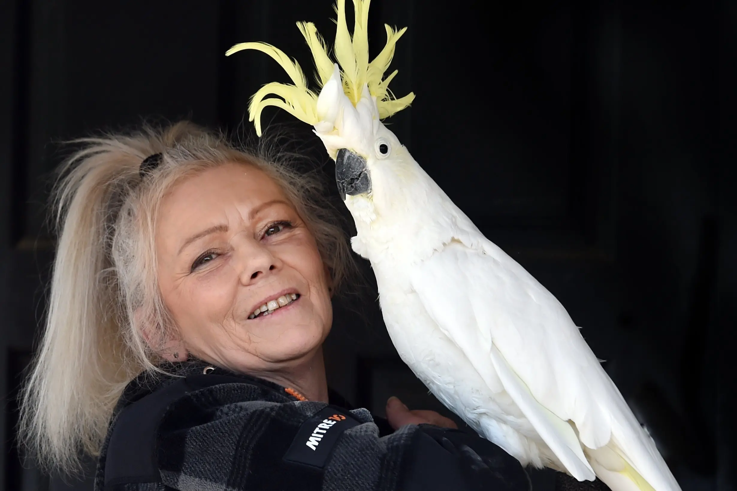 Sue Cook, of Bird Rescue Dunedin, with a cockatoo called Opal in 2023, when her charity was under threat. Photo: Peter McIntosh